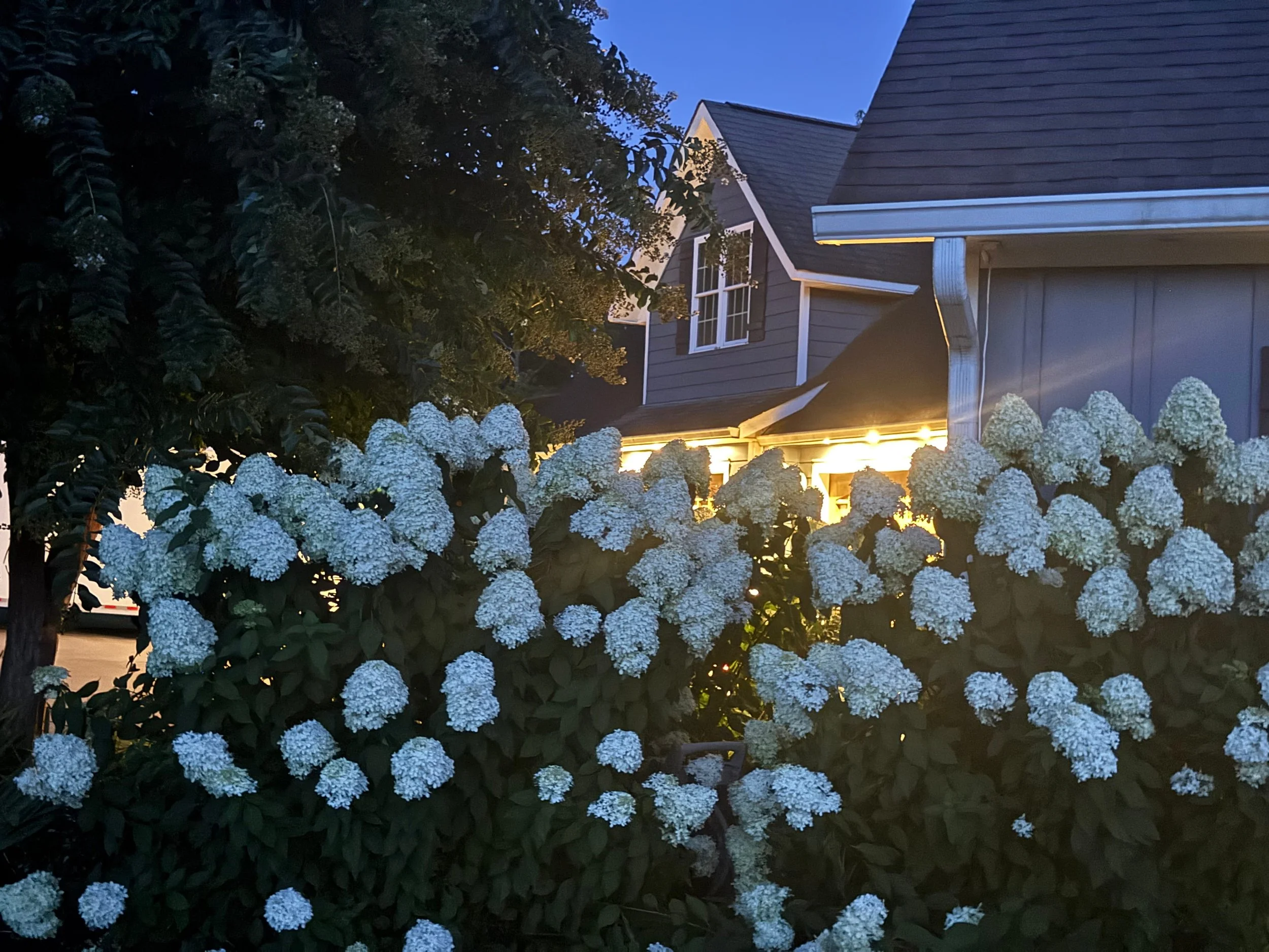 Photo Jul 27 2025, 9 22 21 PM.jpg