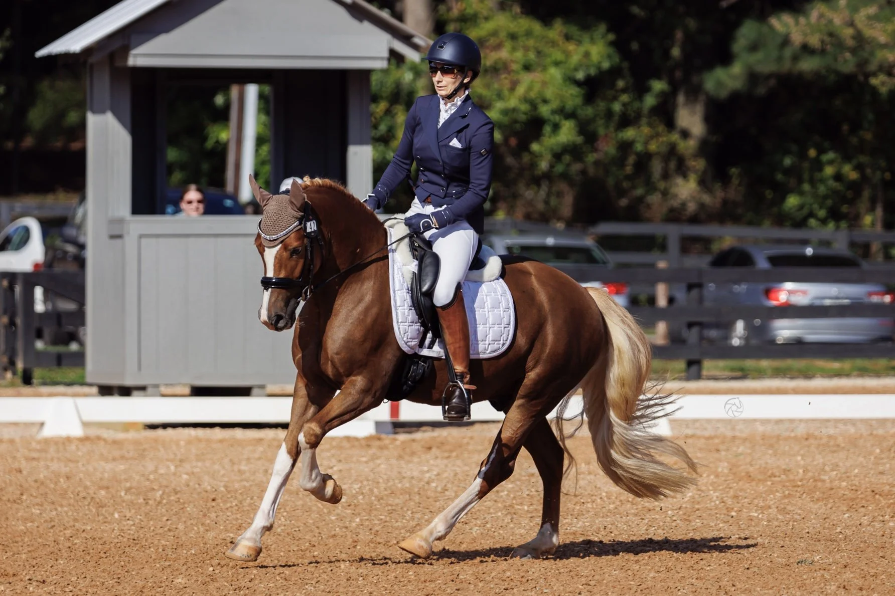 Dressage Max