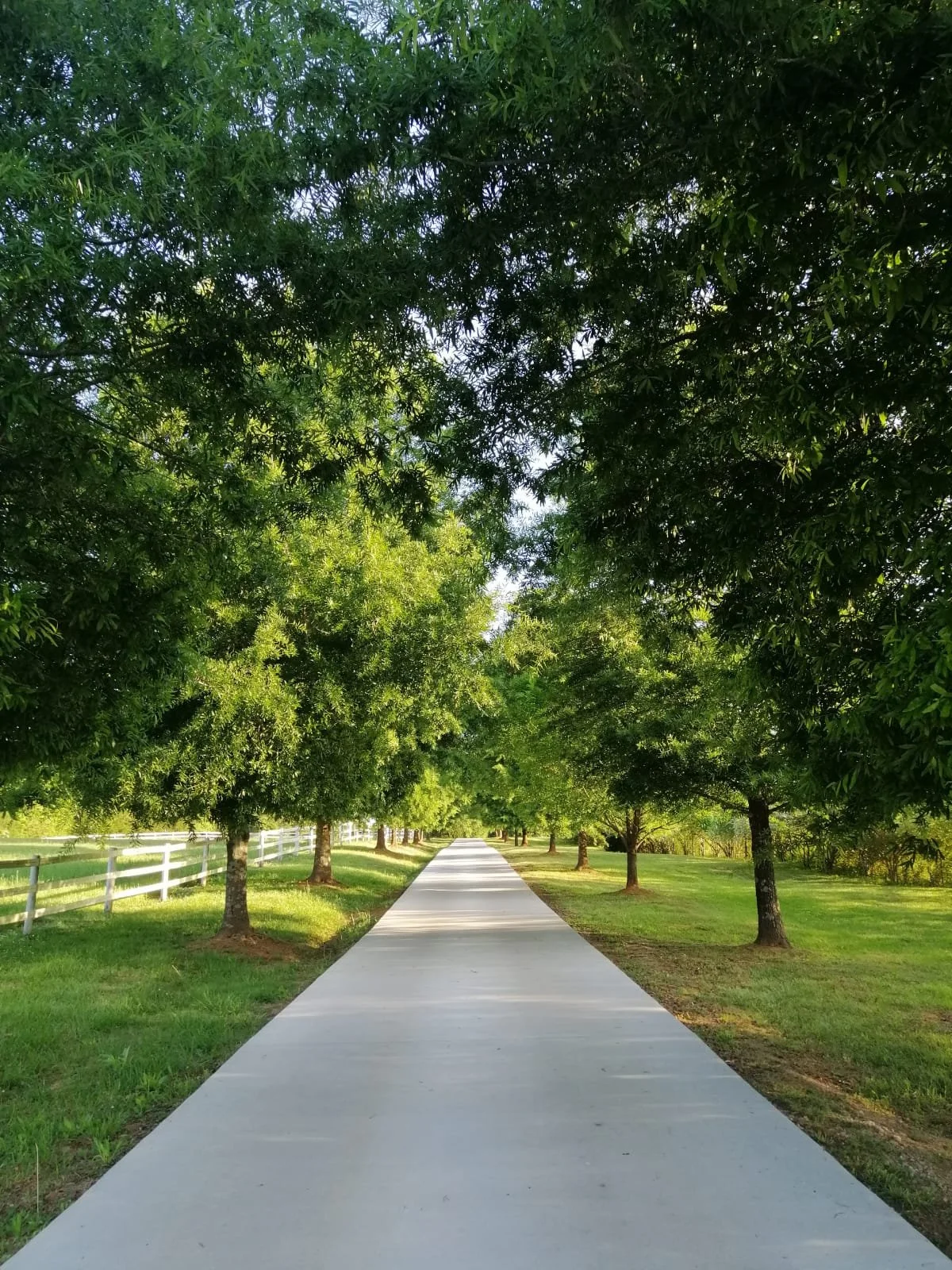 Photo Feb 10 2026, 6 50 17 PM (2).jpg