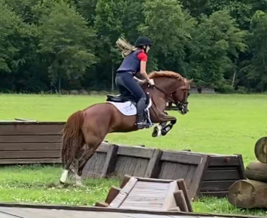 Photo Jun 22 2021, 7 14 06 AM.jpg