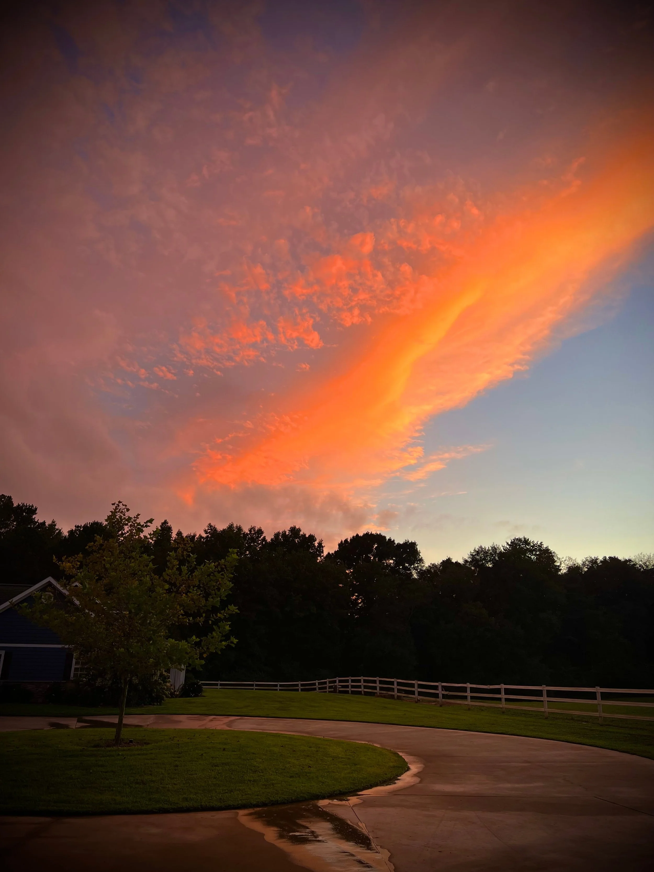 Photo Aug 25 2022, 8 23 45 PM.jpg