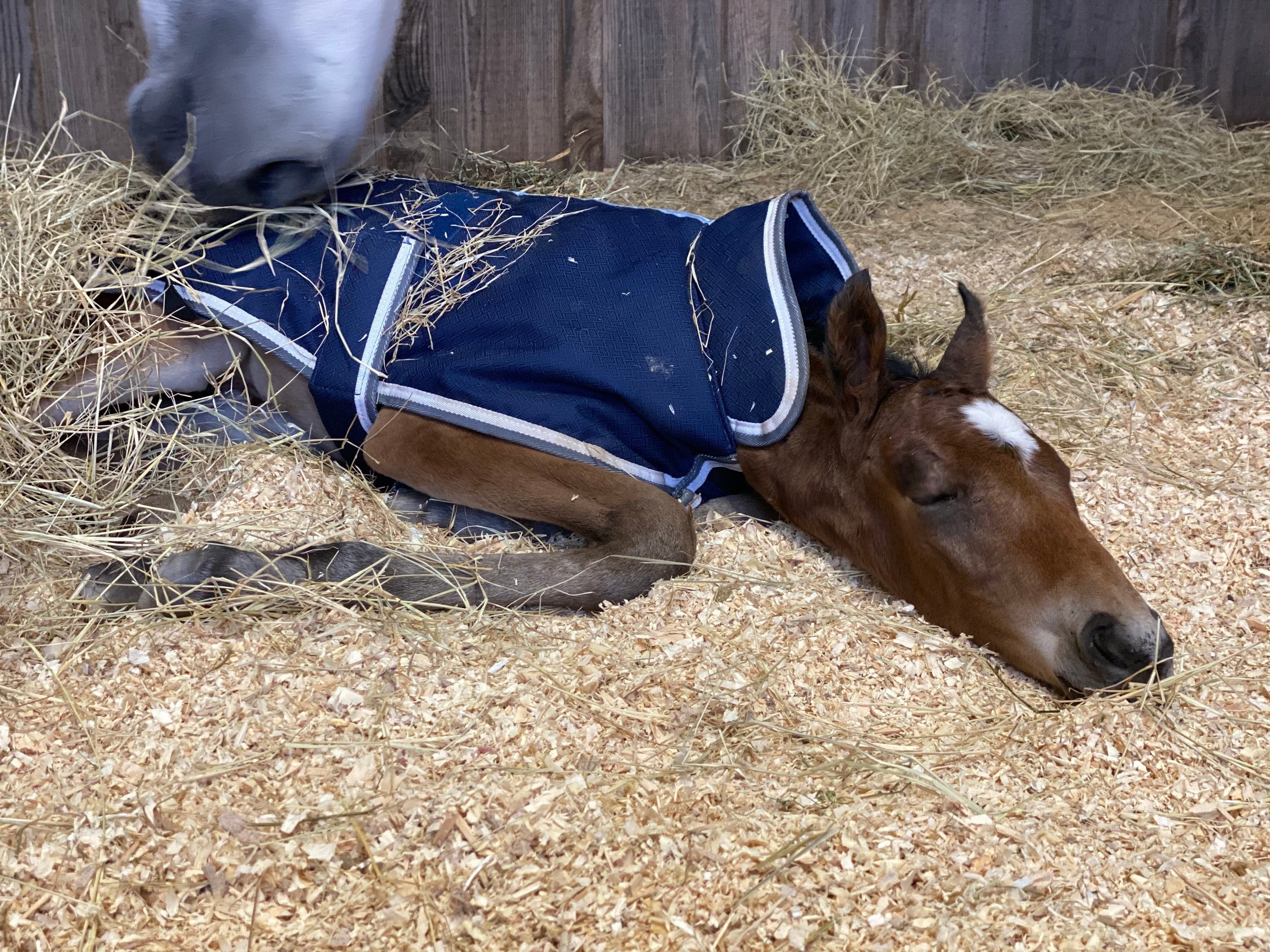 Photo Jan 11 2021, 4 57 21 PM.jpg