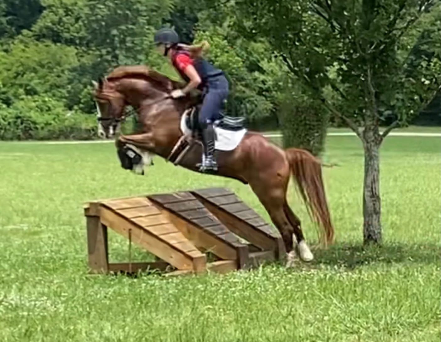 Photo Jun 22 2021, 7 14 54 AM.jpg