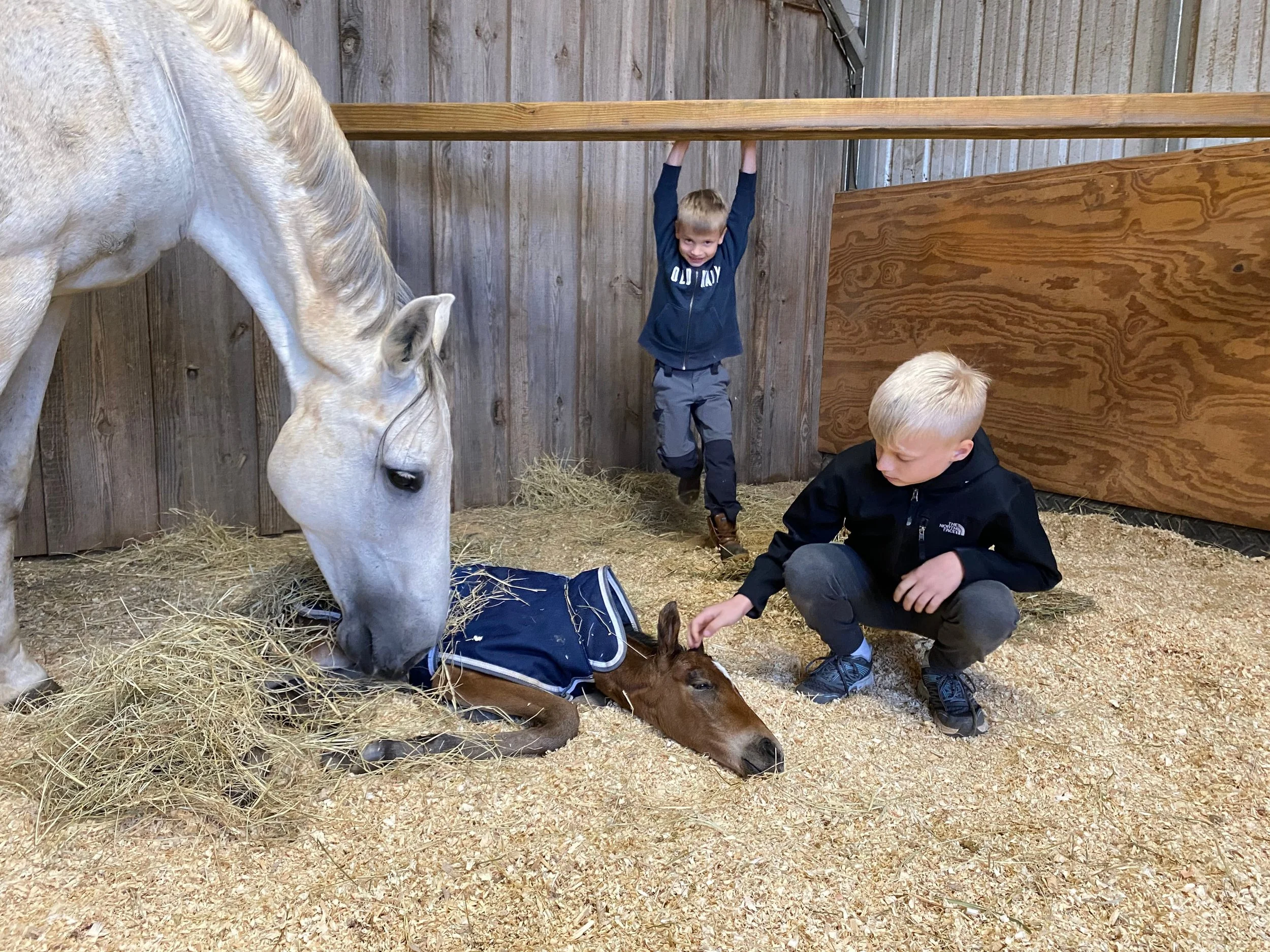 Photo Jan 11 2021, 4 57 53 PM.jpg