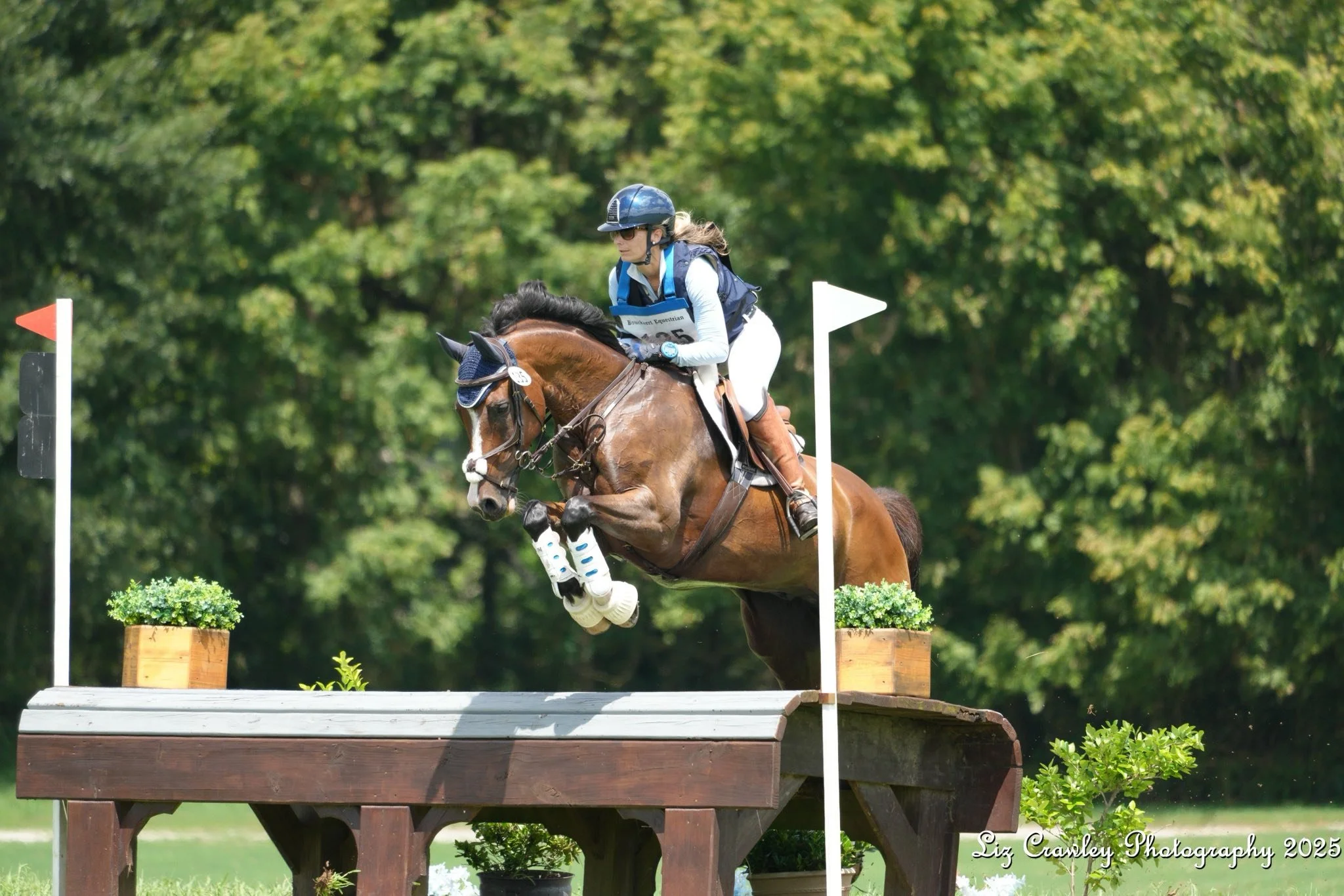 Cross country horse and rider jumping over an obstacle during an equestrian competition, with green trees in the background.