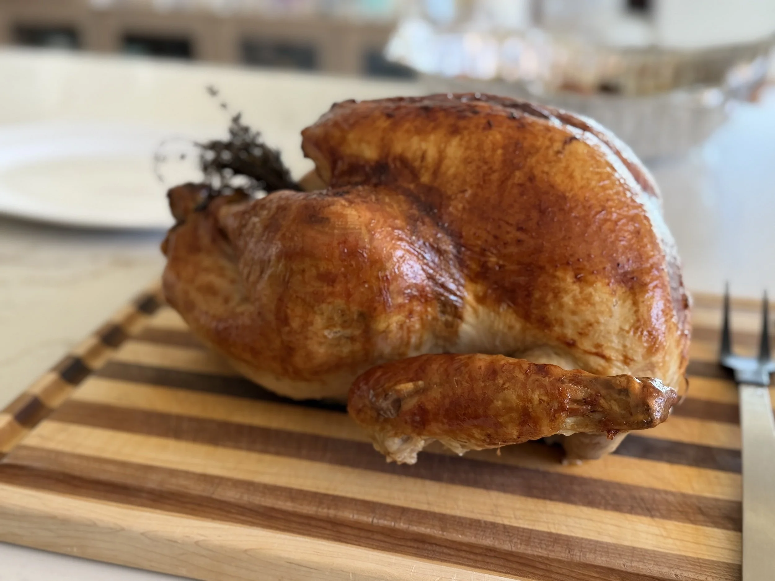 thanksgiving turkey leaf kitchen .jpeg