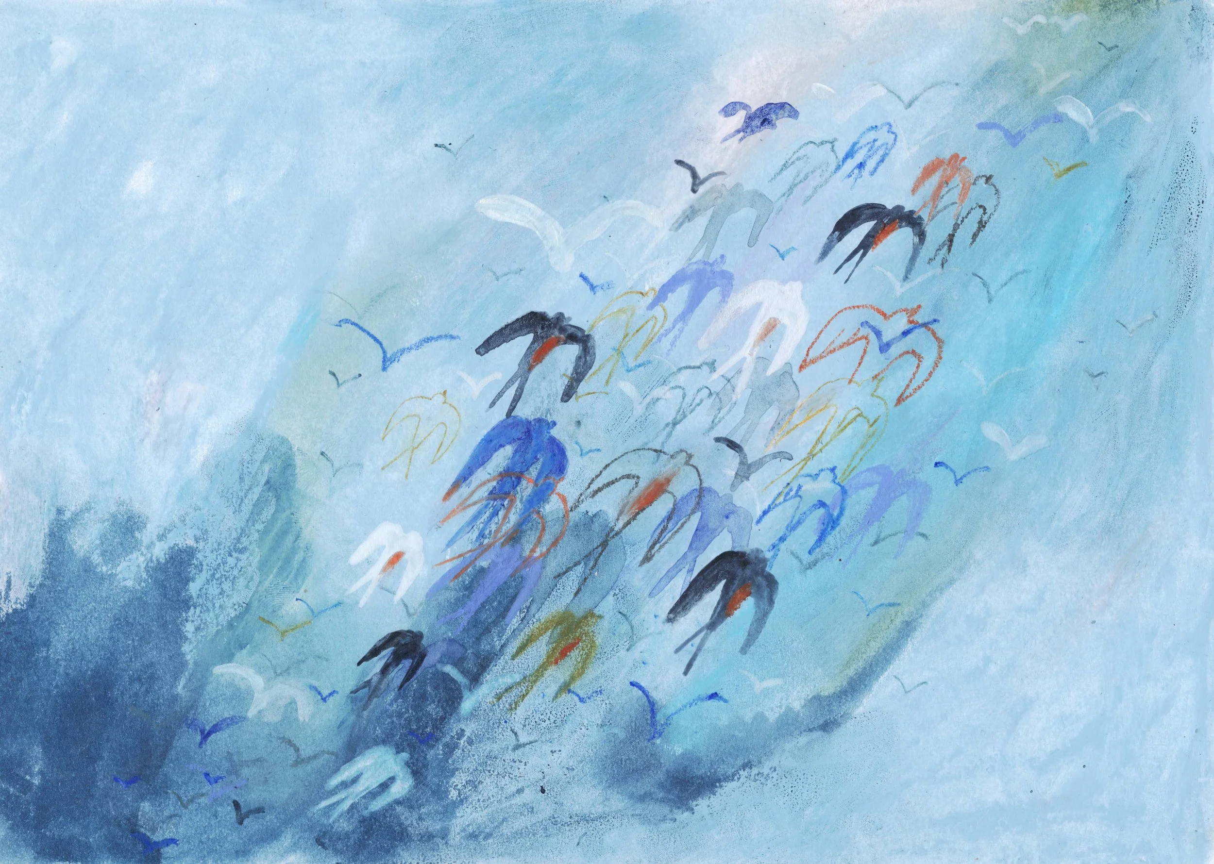 birds1.jpg