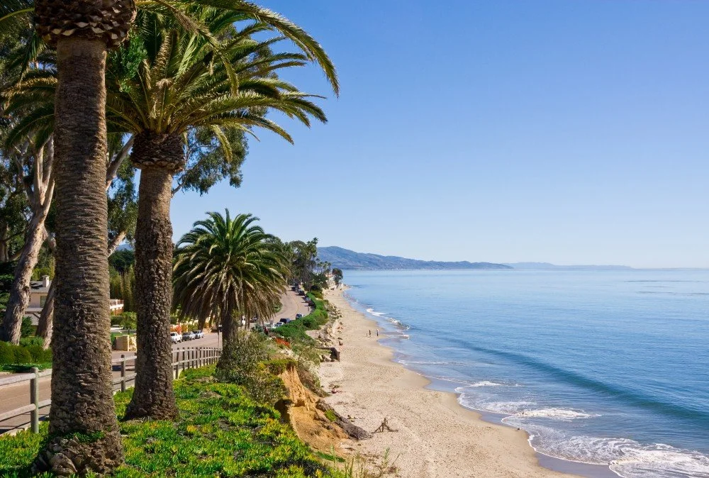 Sunny beach with palm trees, sandy shoreline, and calm ocean waves under a clear blue sky.