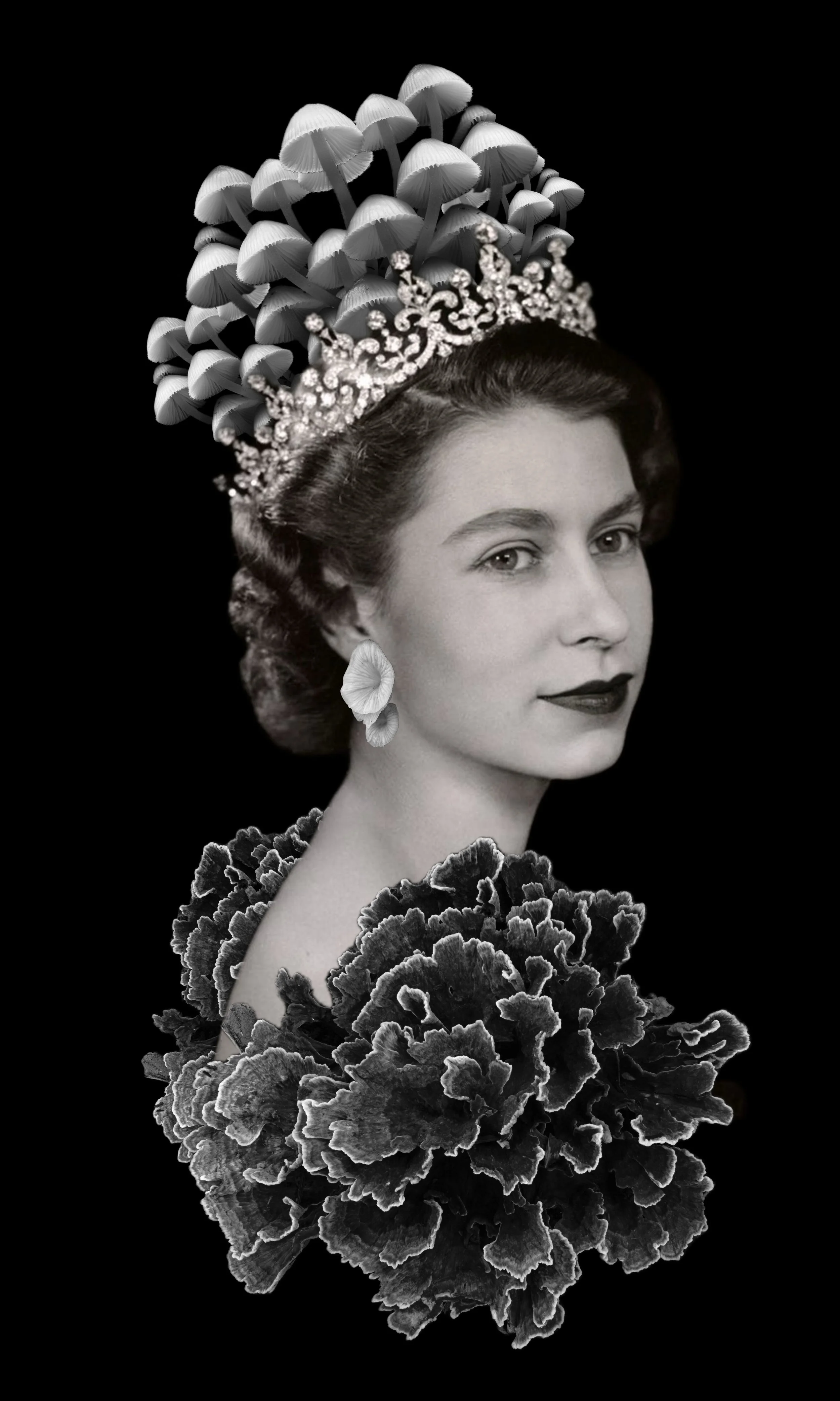 00_12x20-Young Queen.jpg