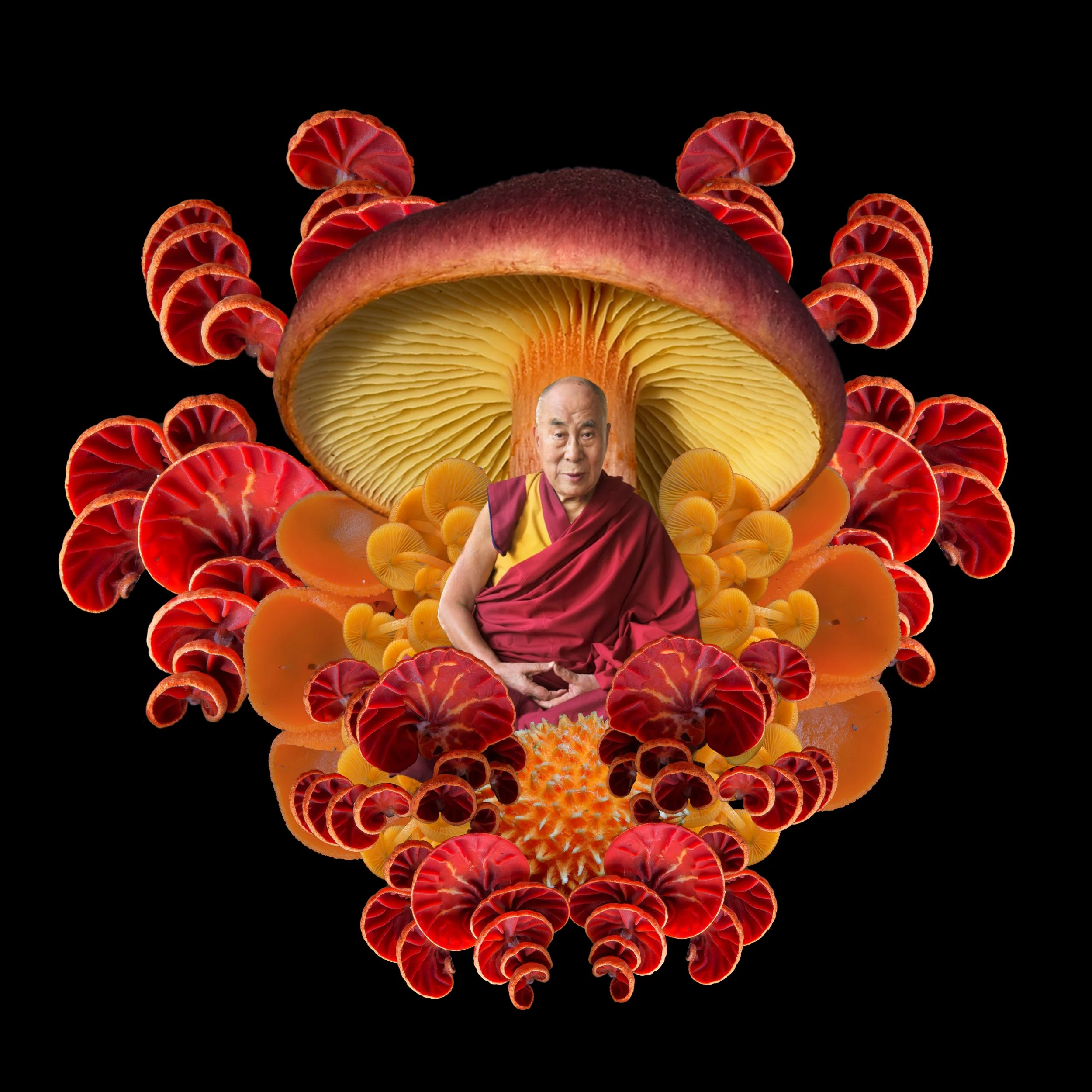 Dalai Lama