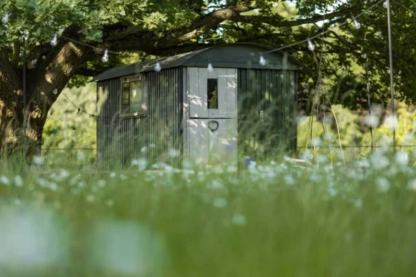 Top garden design considerations for your outdoor space