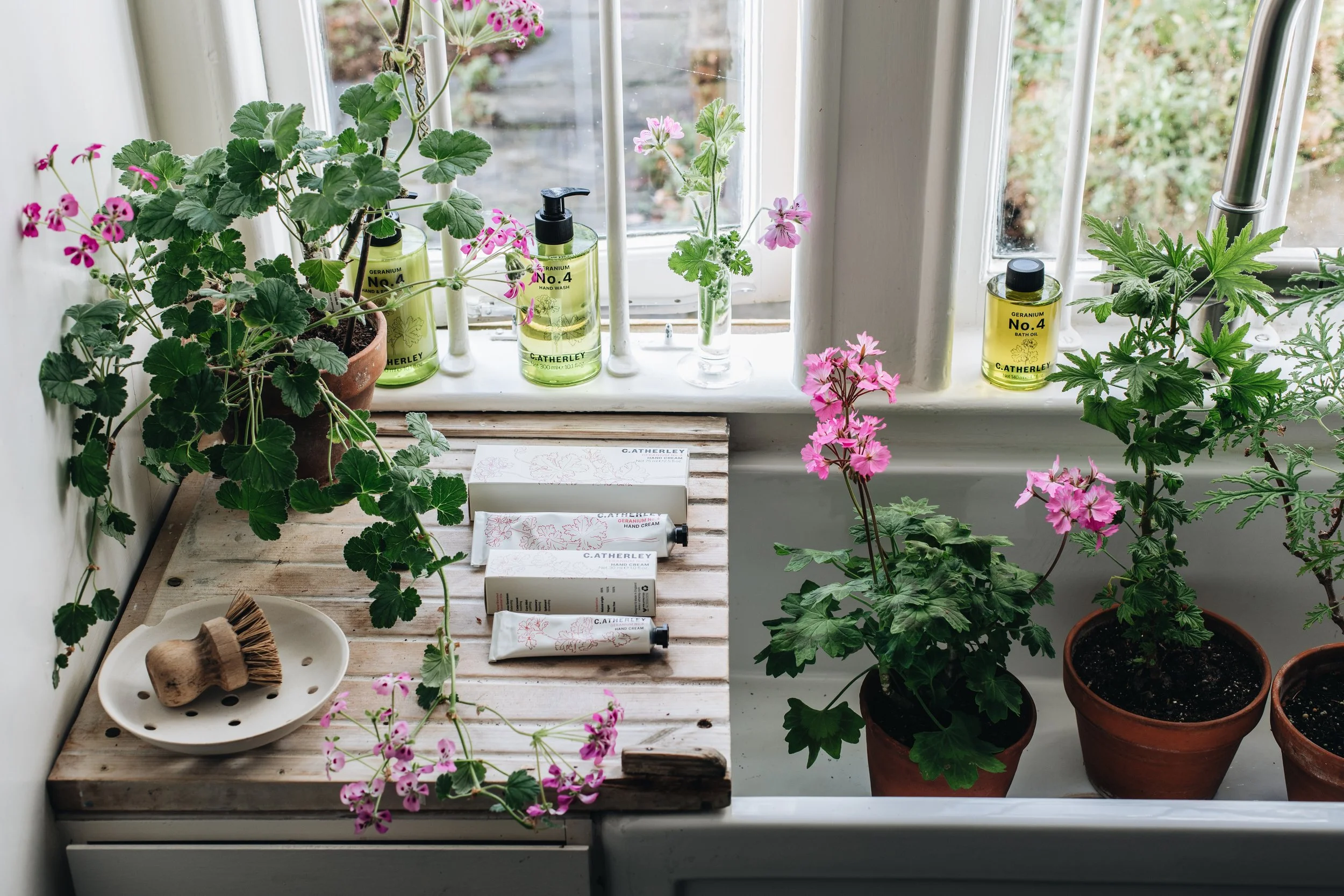 C.atherley: Live Pelargonium talk with Cath Kidston