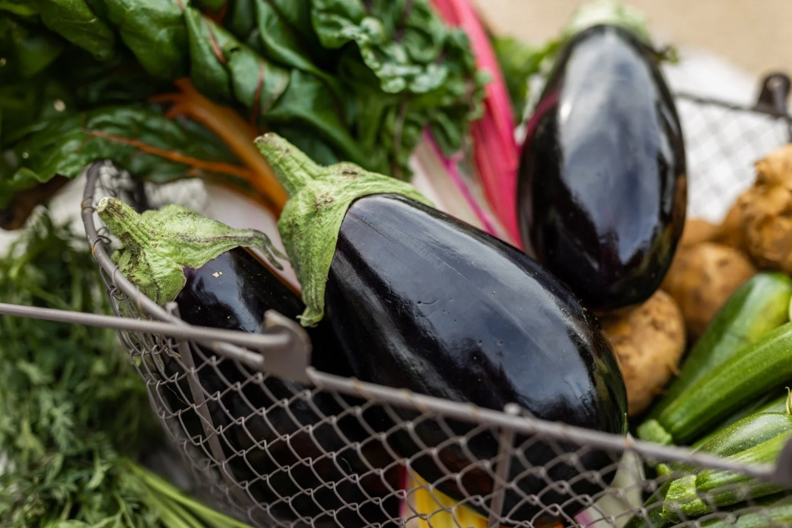 Supper Club: Harvest Table