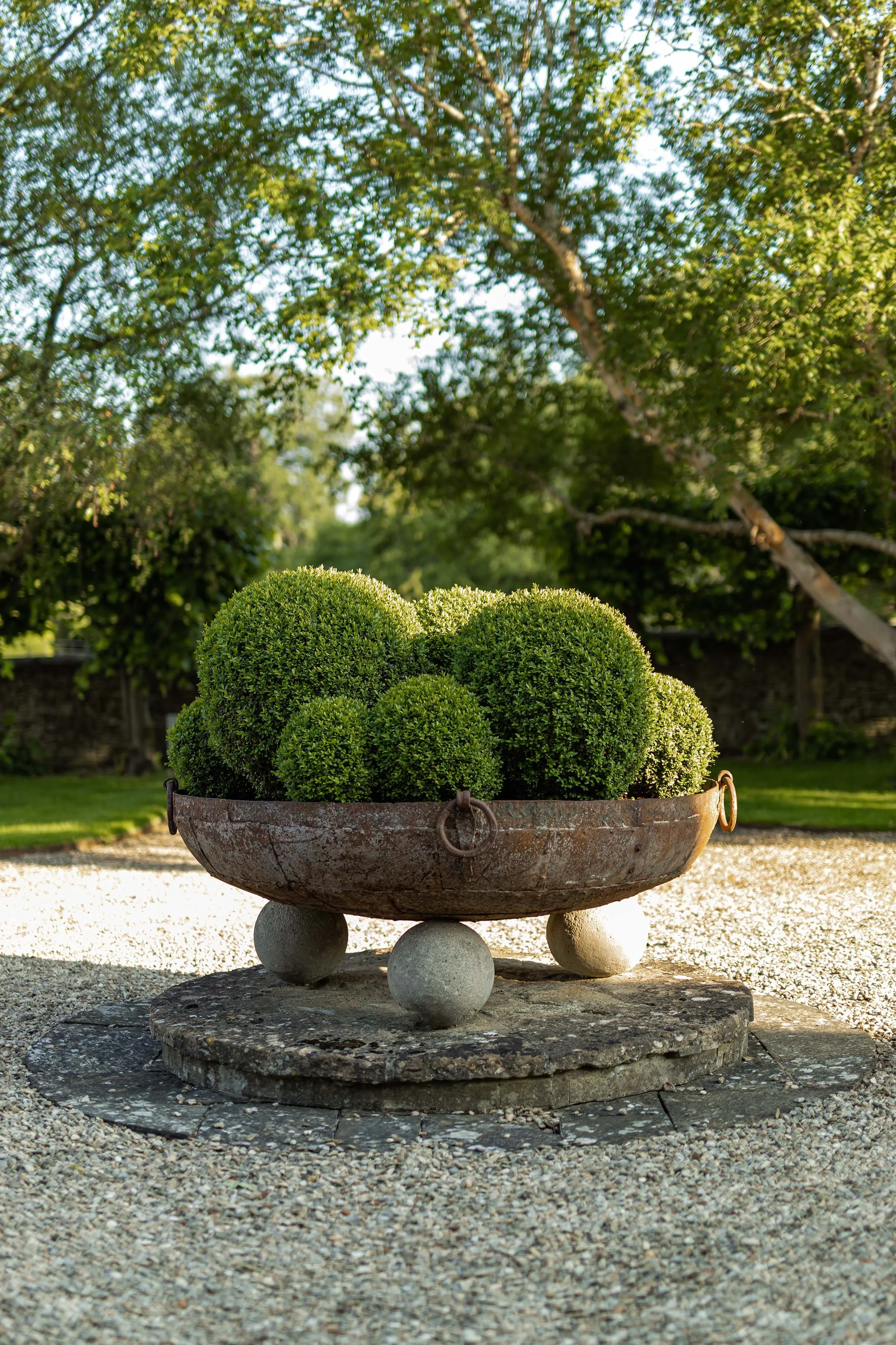 Planted kadai - A large rusty metal container filled with green, round, well-trimmed bushes, placed on a stone base in an outdoor garden setting.