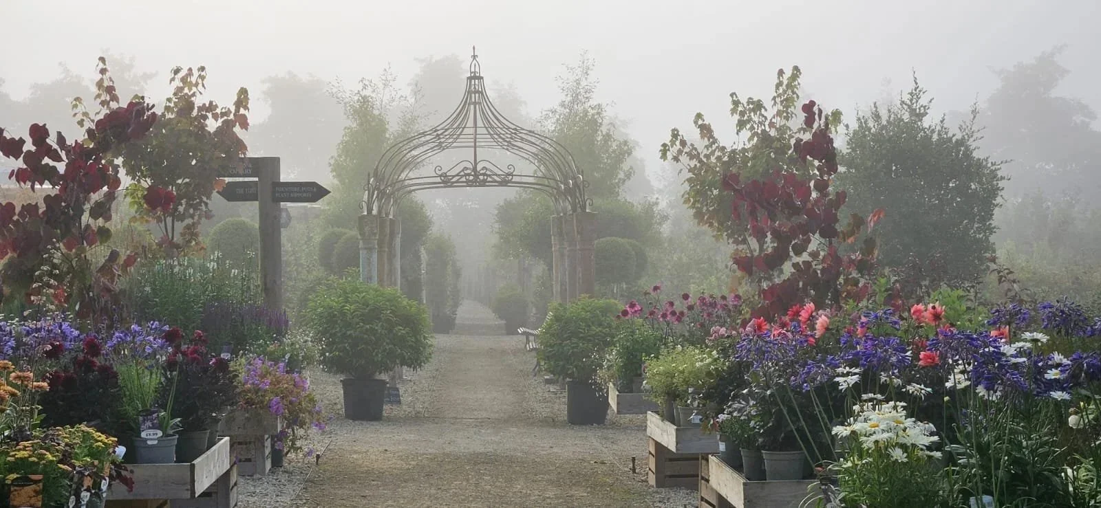 A misty garden centre with a gravel path lined with potted flowers and plants, leading to a decorative metal archway surrounded by trees and shrubs.