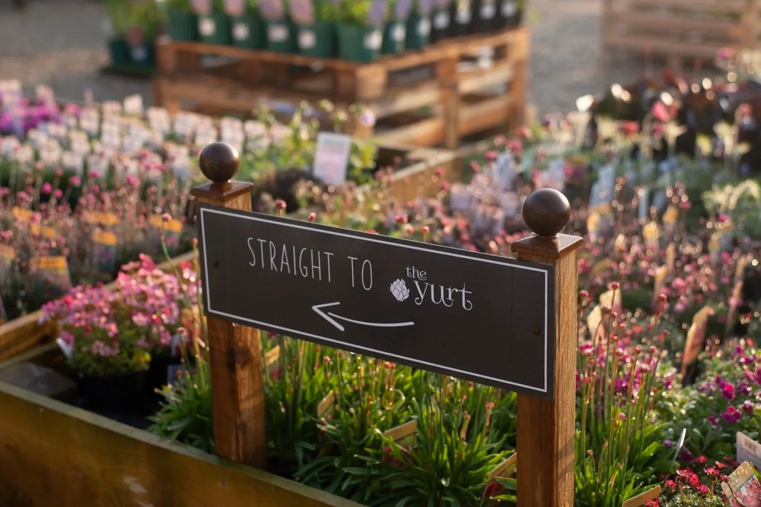A black sign with white text and arrows points to the left, reading 'Straight to the yurt,' in a garden center with colorful flowers and wooden display beds.