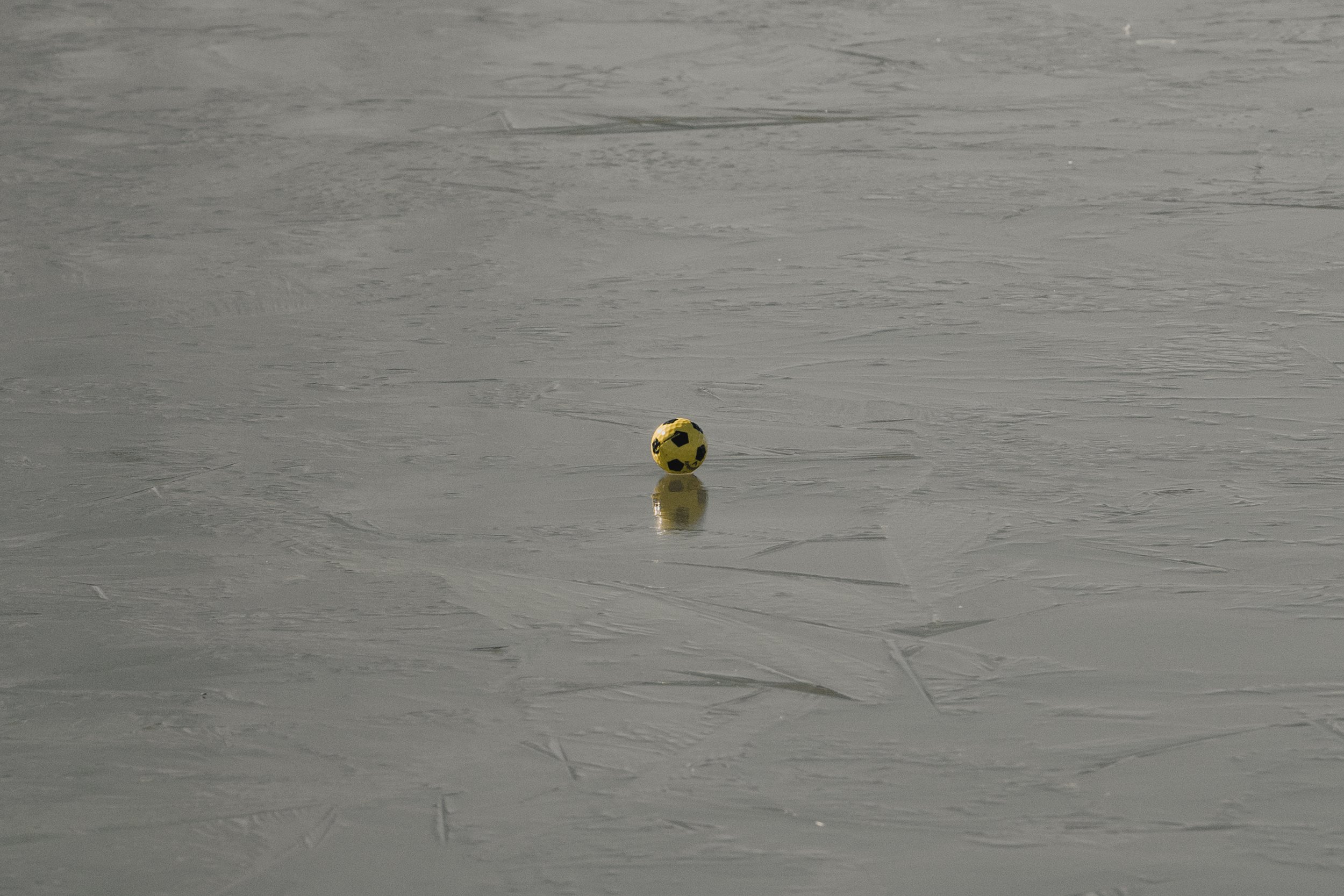 Friday Dispatch-Issue No. 2 | Winter Light