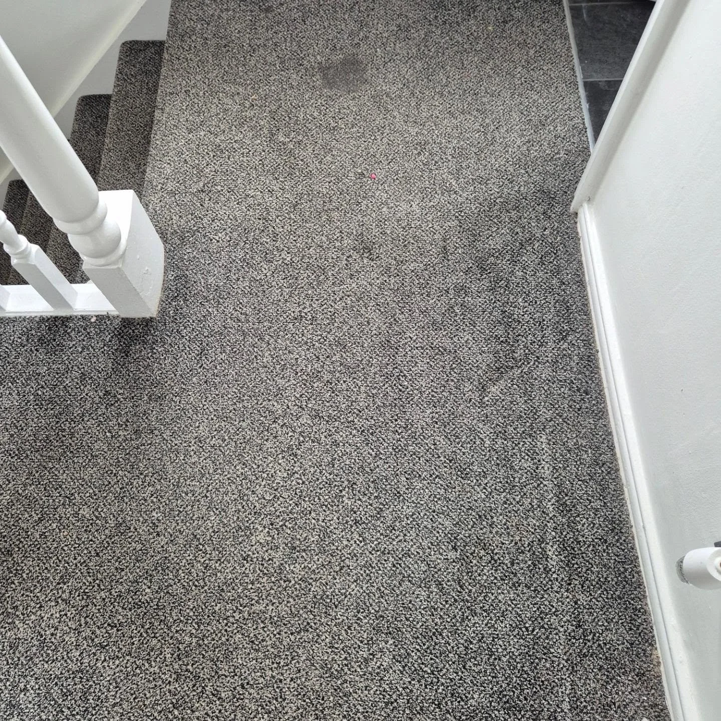 Pro results for stubborn stains. 🧼✨

​This customer tried their best to tackle a heavy grease stain and dried candle wax on their stairs, but some messes need a professional touch. Using our specialised equipment and expert training, we were able to