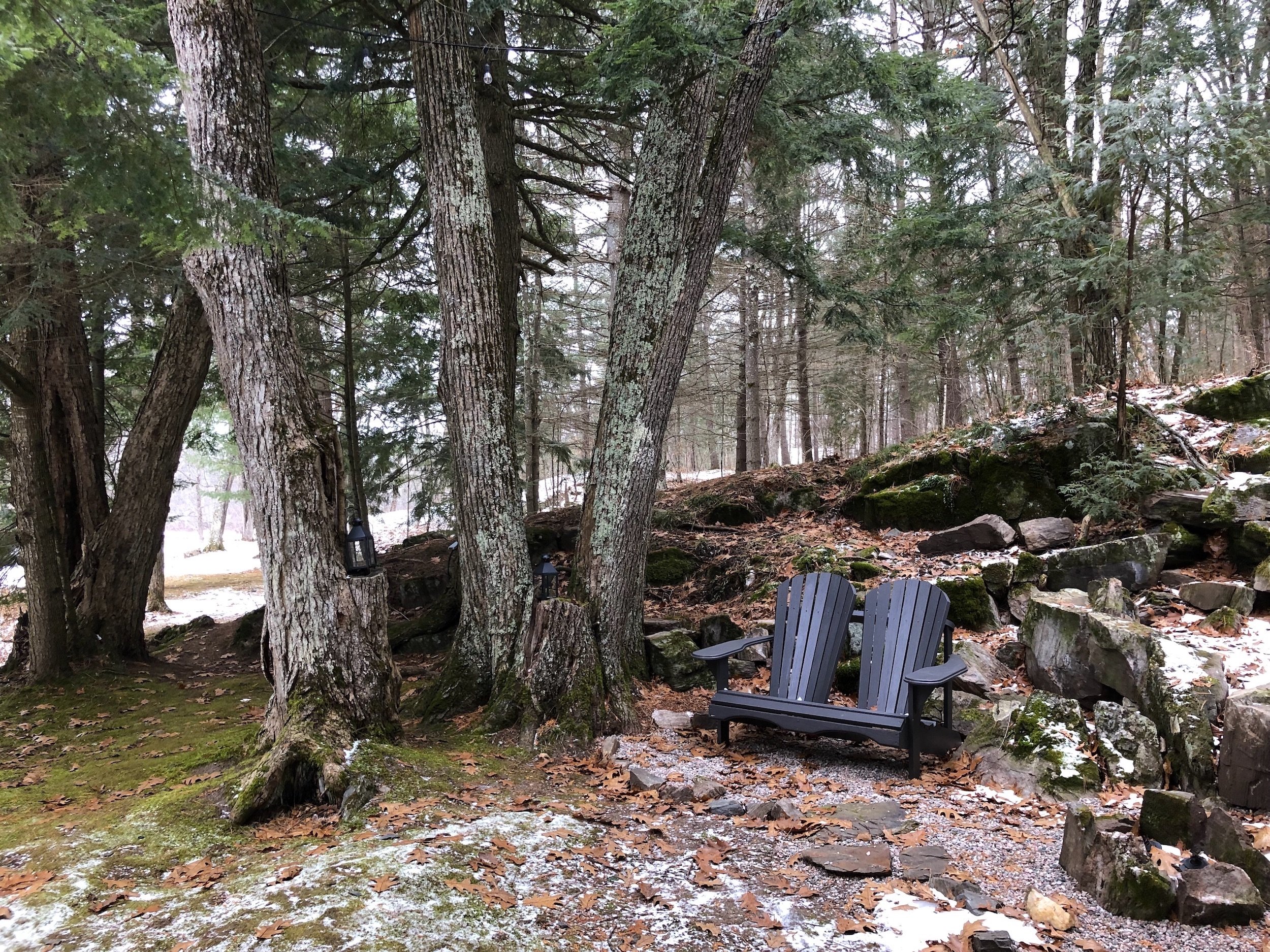 Spring Forest Room.jpeg