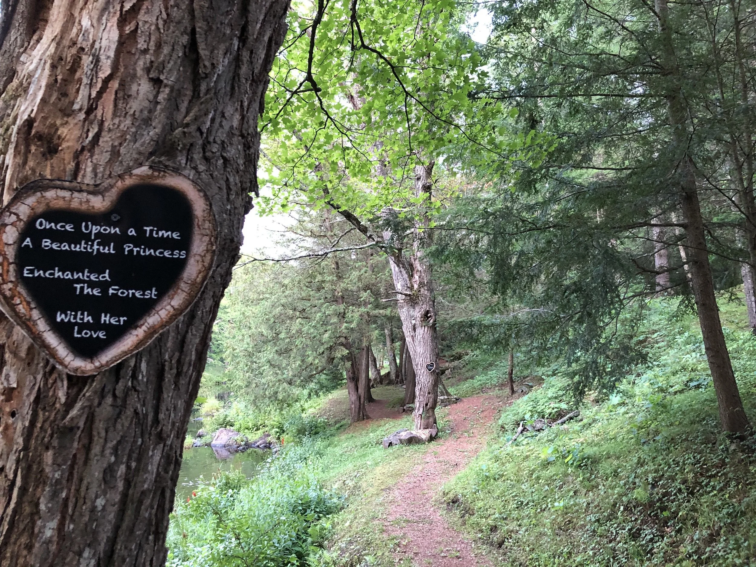 Romantic forest trails at the Black River Retreat romantic couples resort