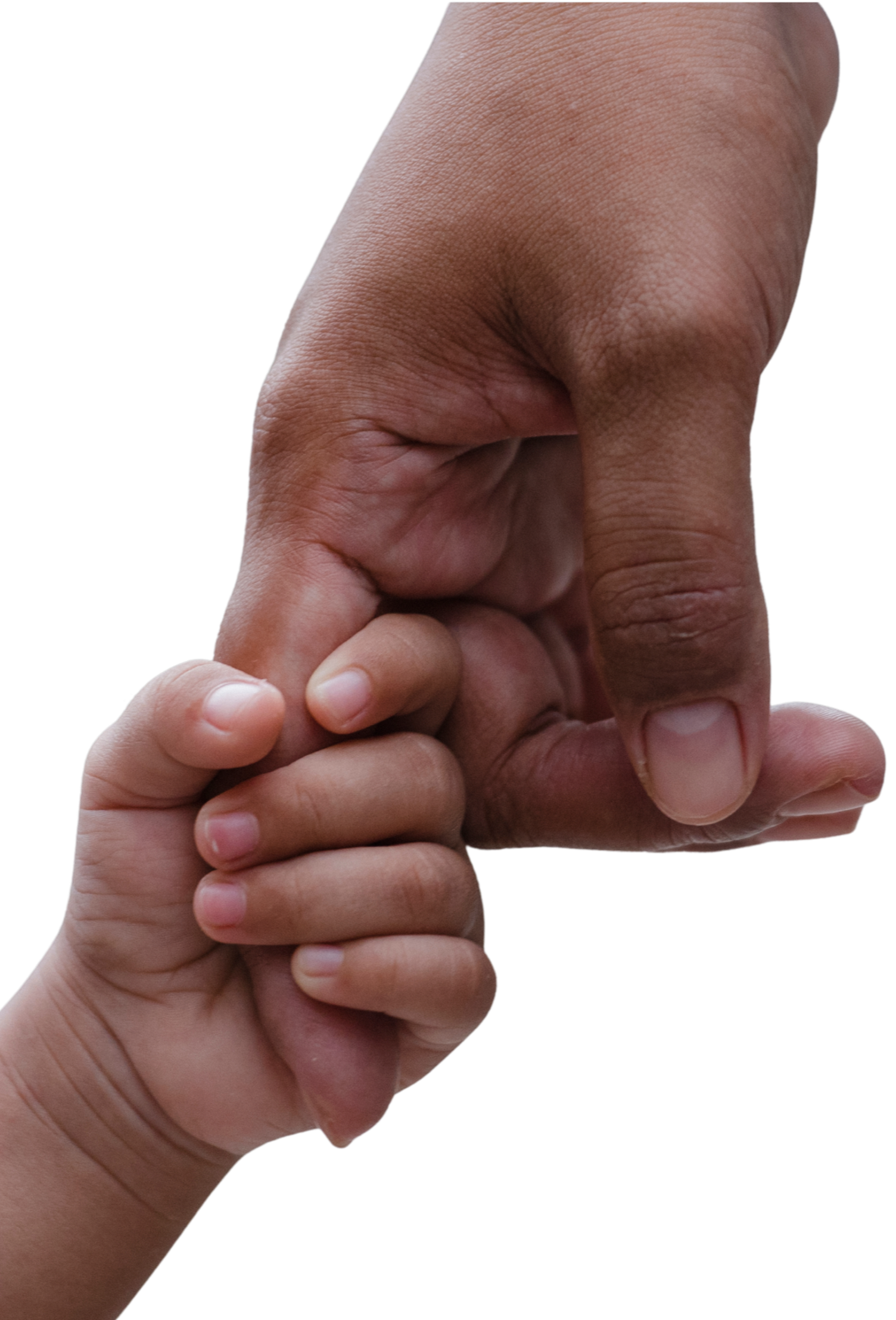 Close-up of an adult hand holding a child's hand with fingers intertwined, isolated on a black background.