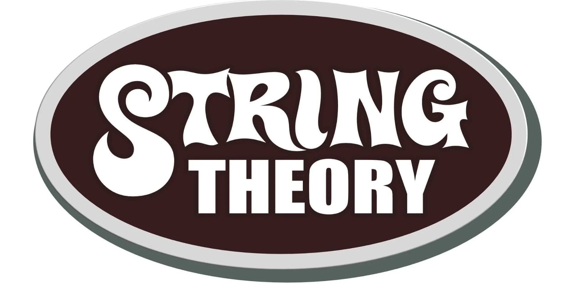 Logo with the words 'String Theory' in stylized white font on a dark oval background with a gray and white border.