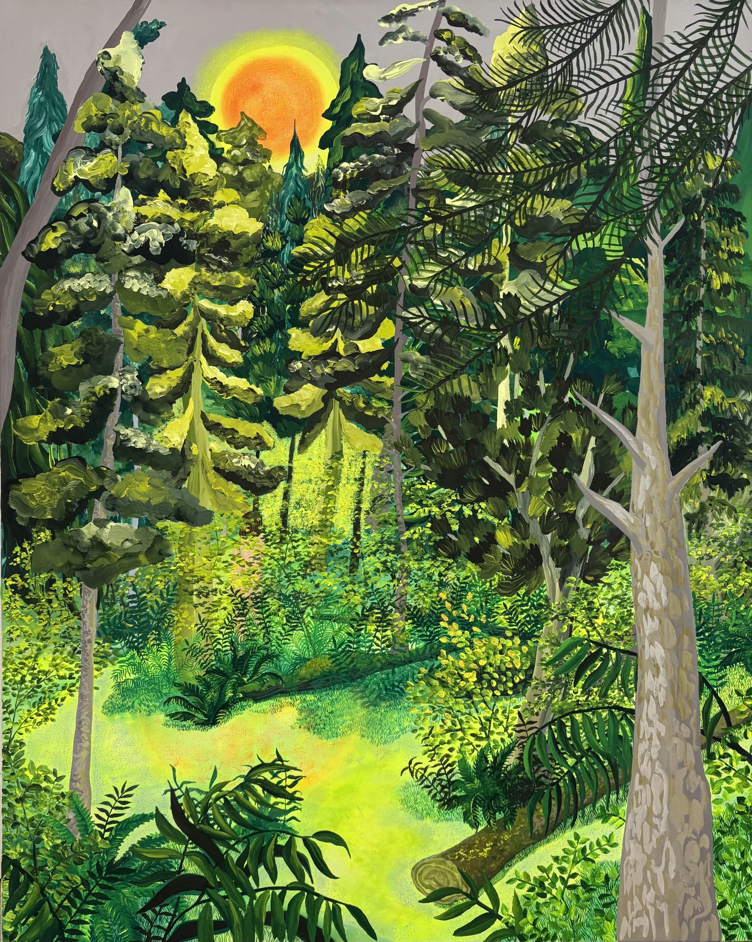 Grey Sky, Orange Sun, Pines