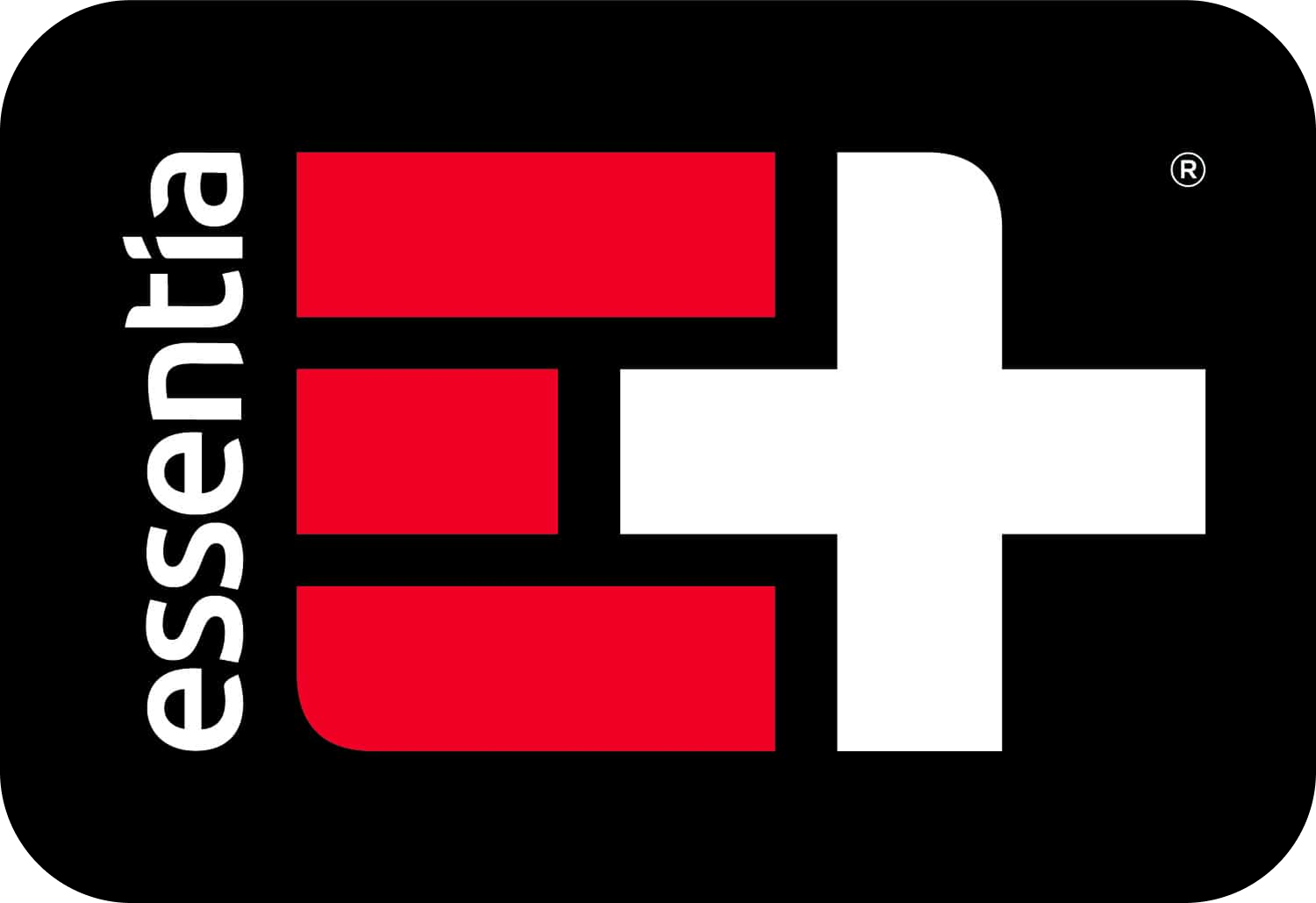 A logo with three red rectangles, a white plus sign, and the text 'essentric' on a black background.