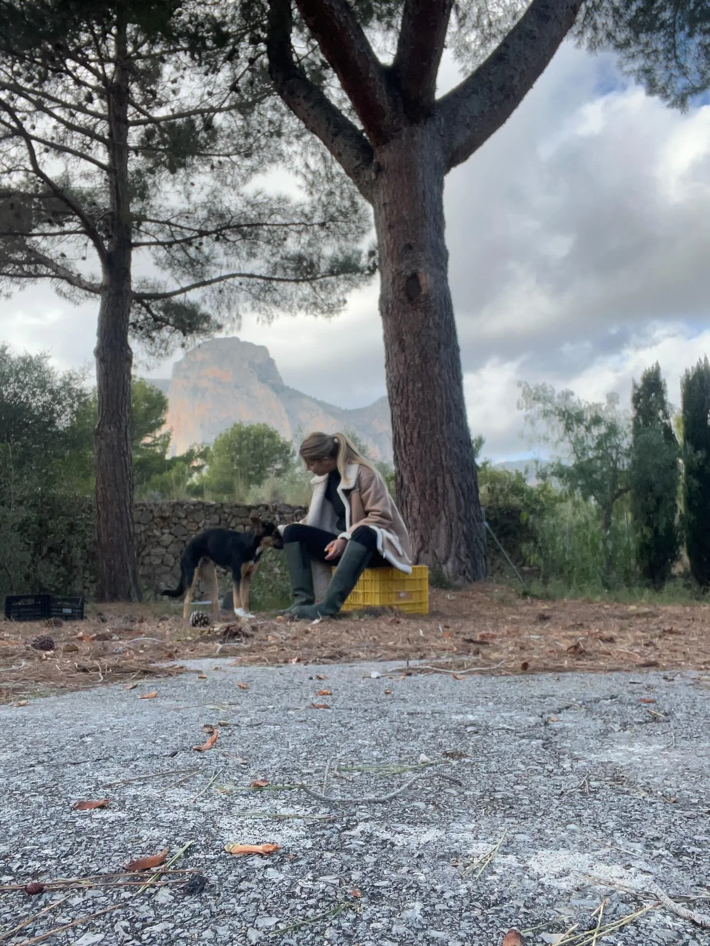 This is for sure one of our favorite spots at Finca Neril 🥰🏠
We feel truly blessed and see so much potential here &mdash; surrounded by beautiful mountains and the sound of birds ❤️
Thank You, Lord 🙏🏼✨