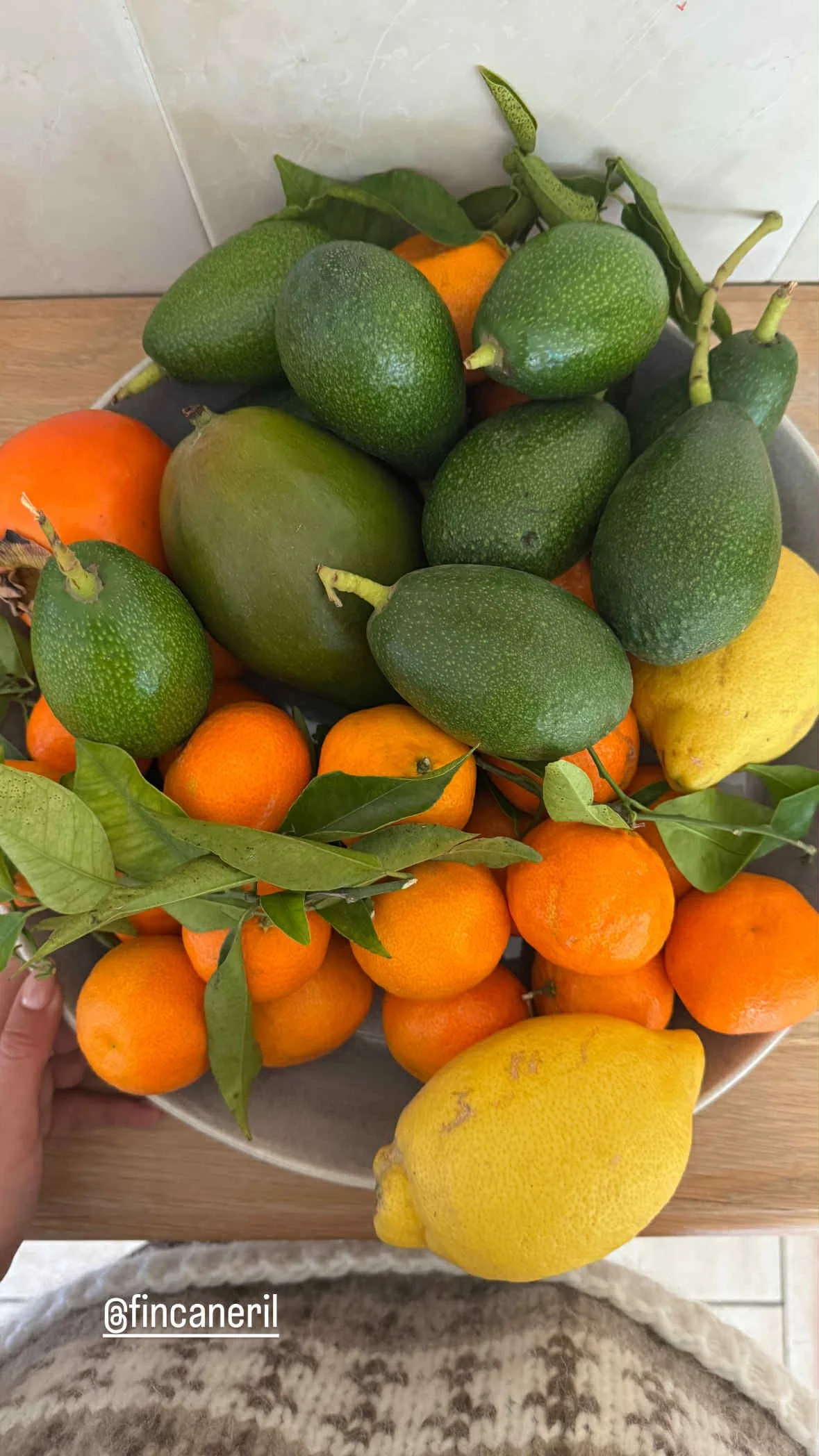 Organic seasonal Fruit & Veggies - Monthly Basket