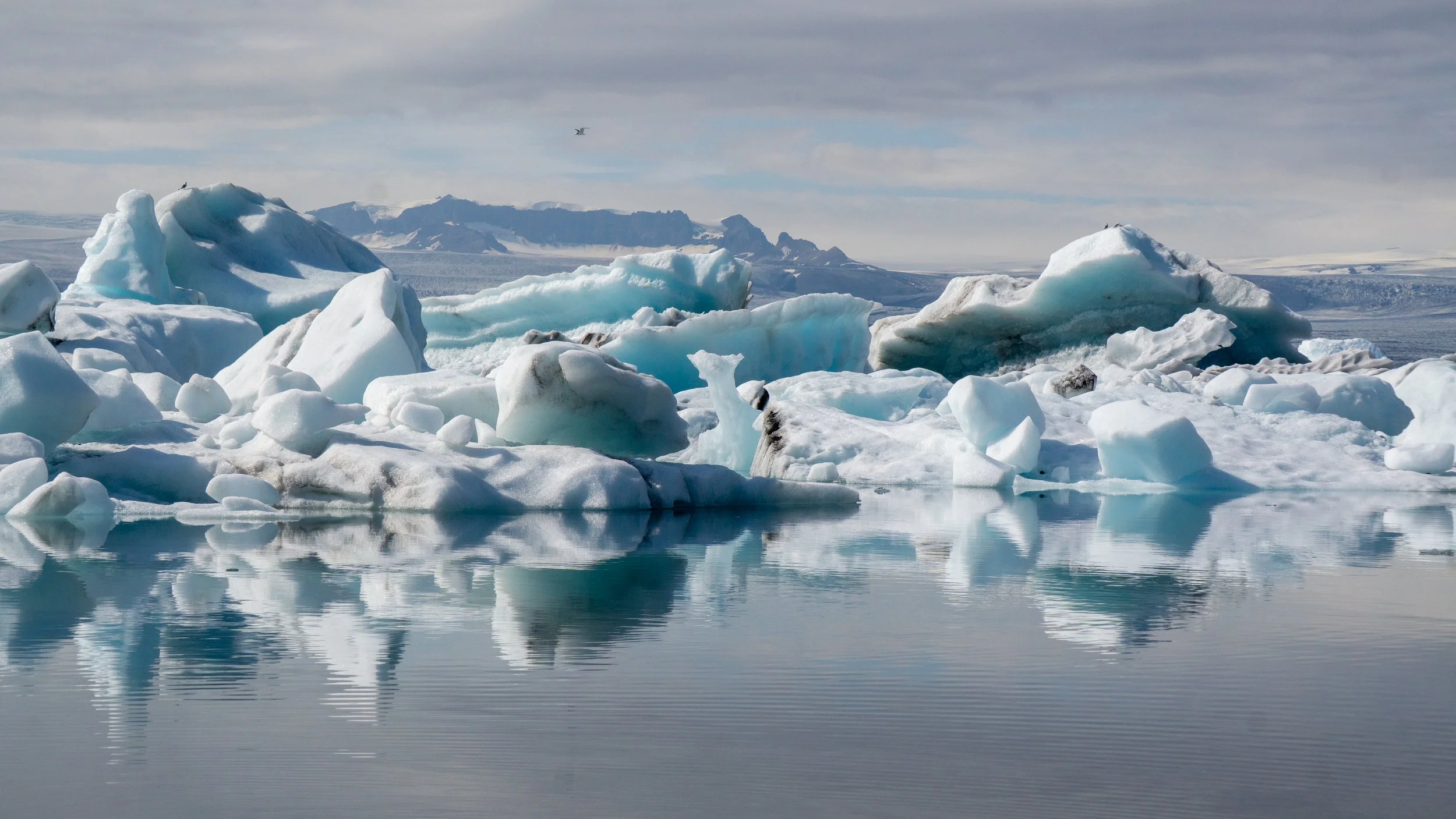 Icebergs floating in calm water with mountain range in the background under cloudy sky.