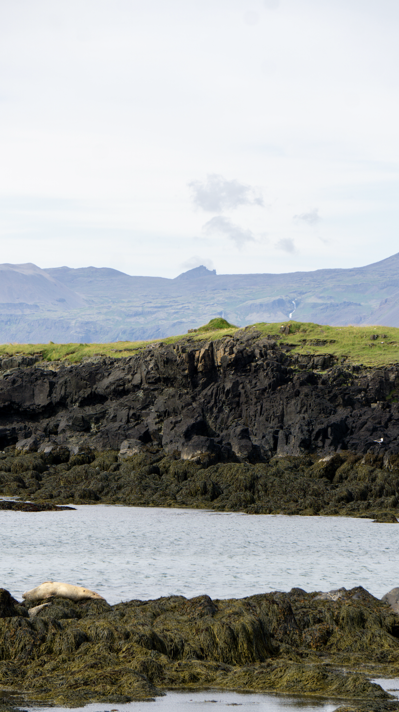 Coastal landscape with rocky shoreline, water, grassy cliffs, and distant mountains.