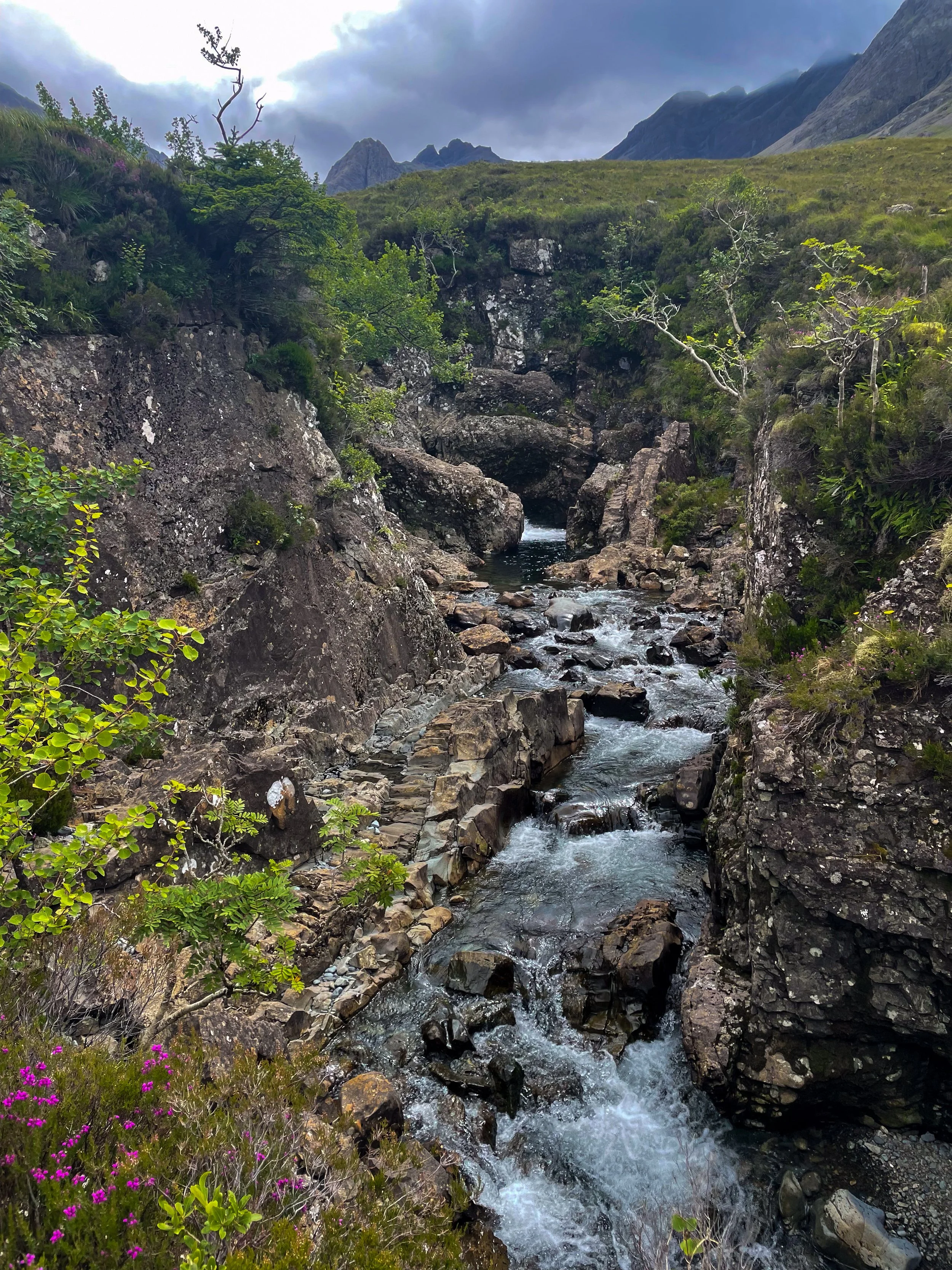 A rocky mountain stream flowing through a green, rugged landscape with trees, bushes, and purple flowers; mountains and cloudy sky in the background.