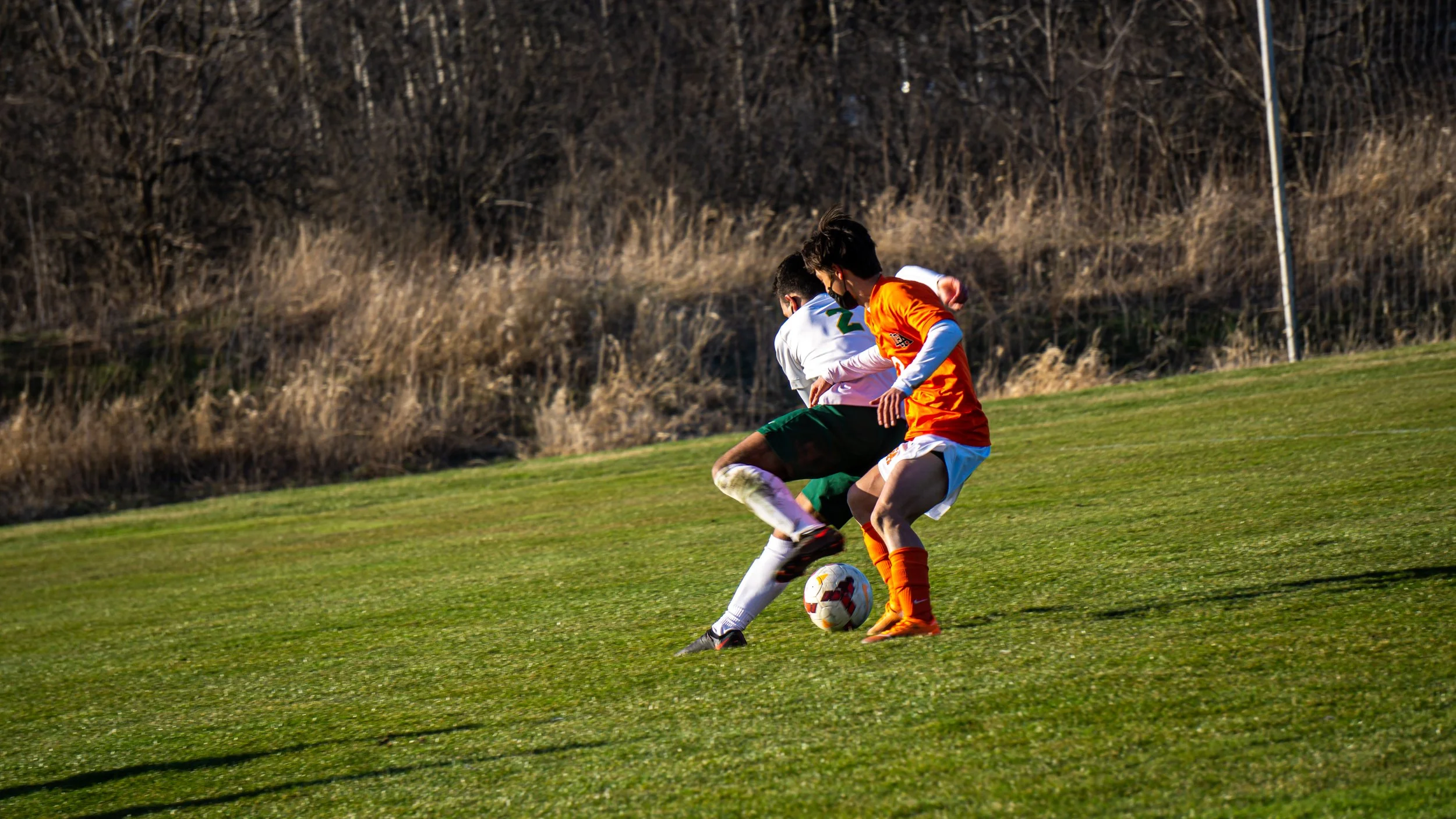 Two soccer players contest the ball on a grassy field during a match, with a wooded area in the background.