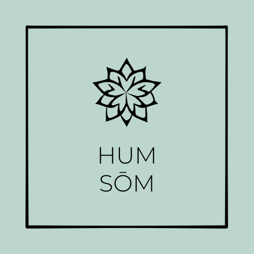 Humans Understanding Meaning