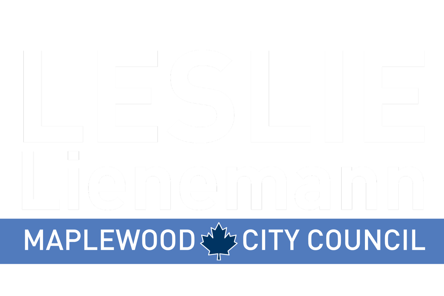 Leslie Lienemann for Minnesota