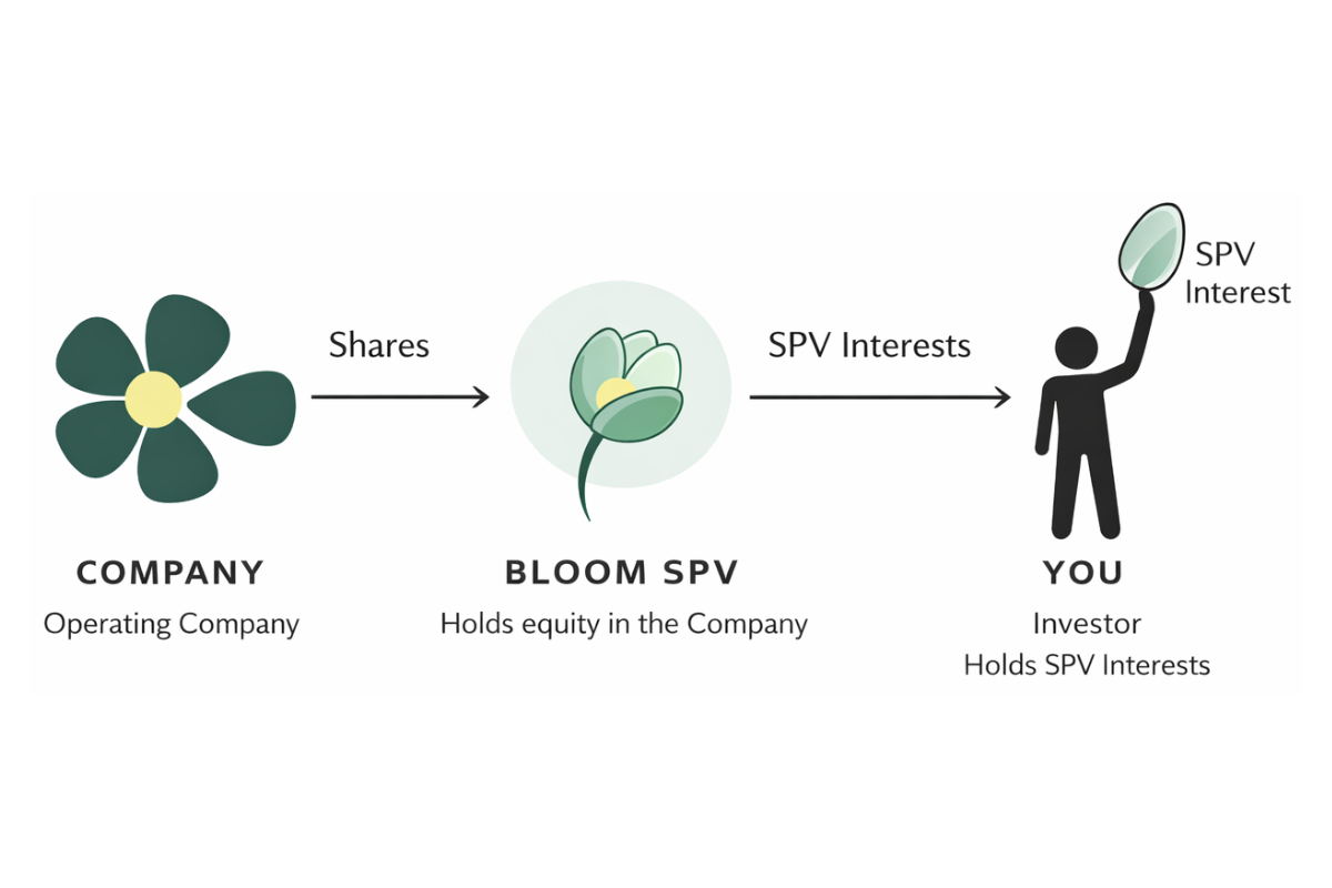 A flowchart illustrating the process of sharing shares in a company. The flow begins with a company, represented by a flower icon, sharing shares with a bloom representing a SPV, which holds equity in the company. The SPV interests are then held by an investor, represented by a person holding a balloon labeled "SPV Interest."
