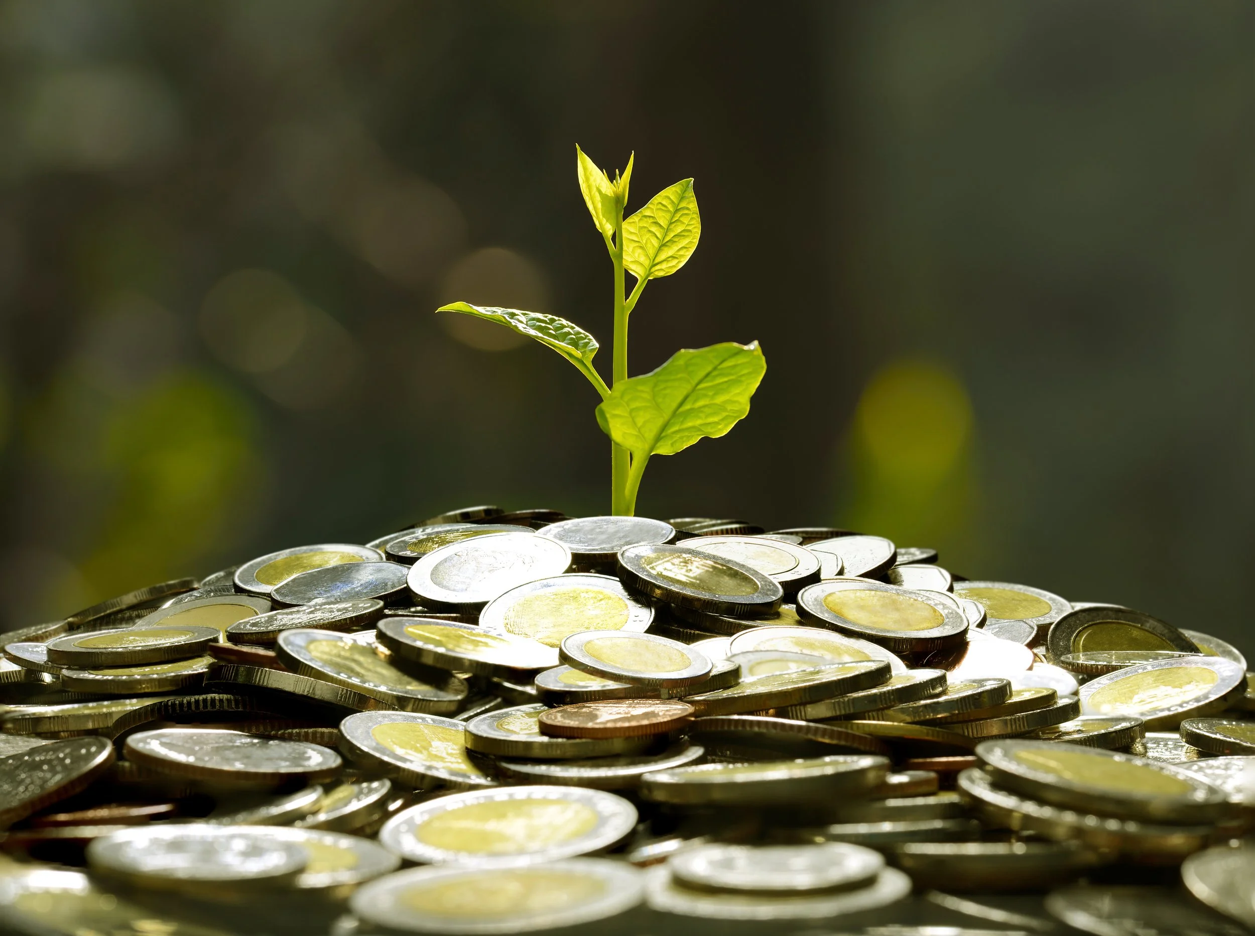A small green plant growing from a pile of shiny coins with a blurred background.
