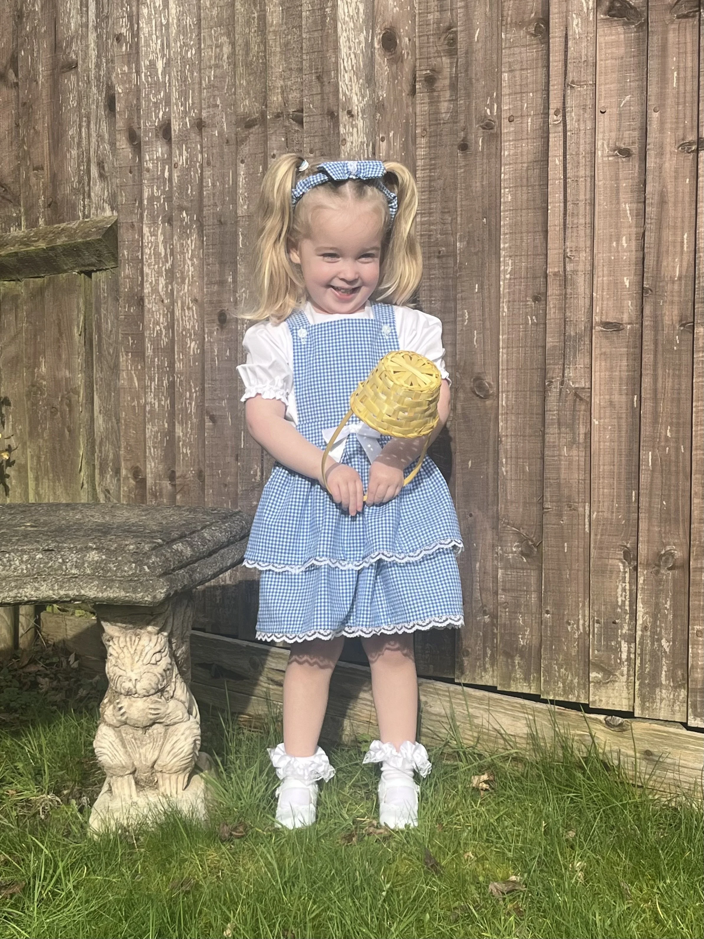 The Bluebell Picnic Collection- Elsie Mae Pinafore Dress & Florence Puff Blouse Set (3-9Y)