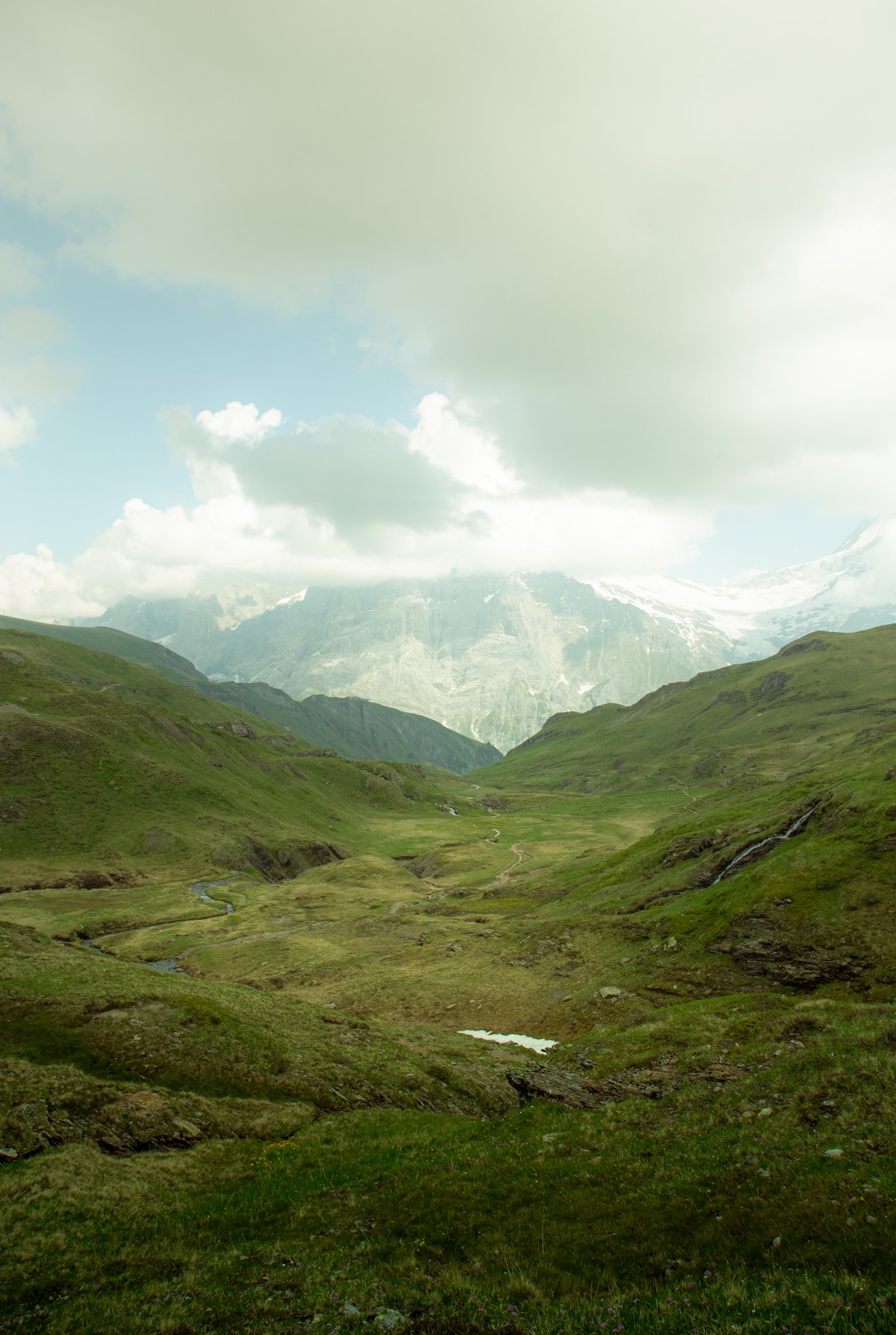 IMG_1116.jpg