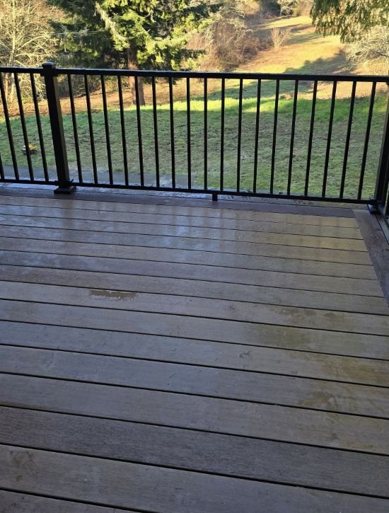 Two-tone Fiberon composite decking with black aluminum railing in Maple Valley, WA