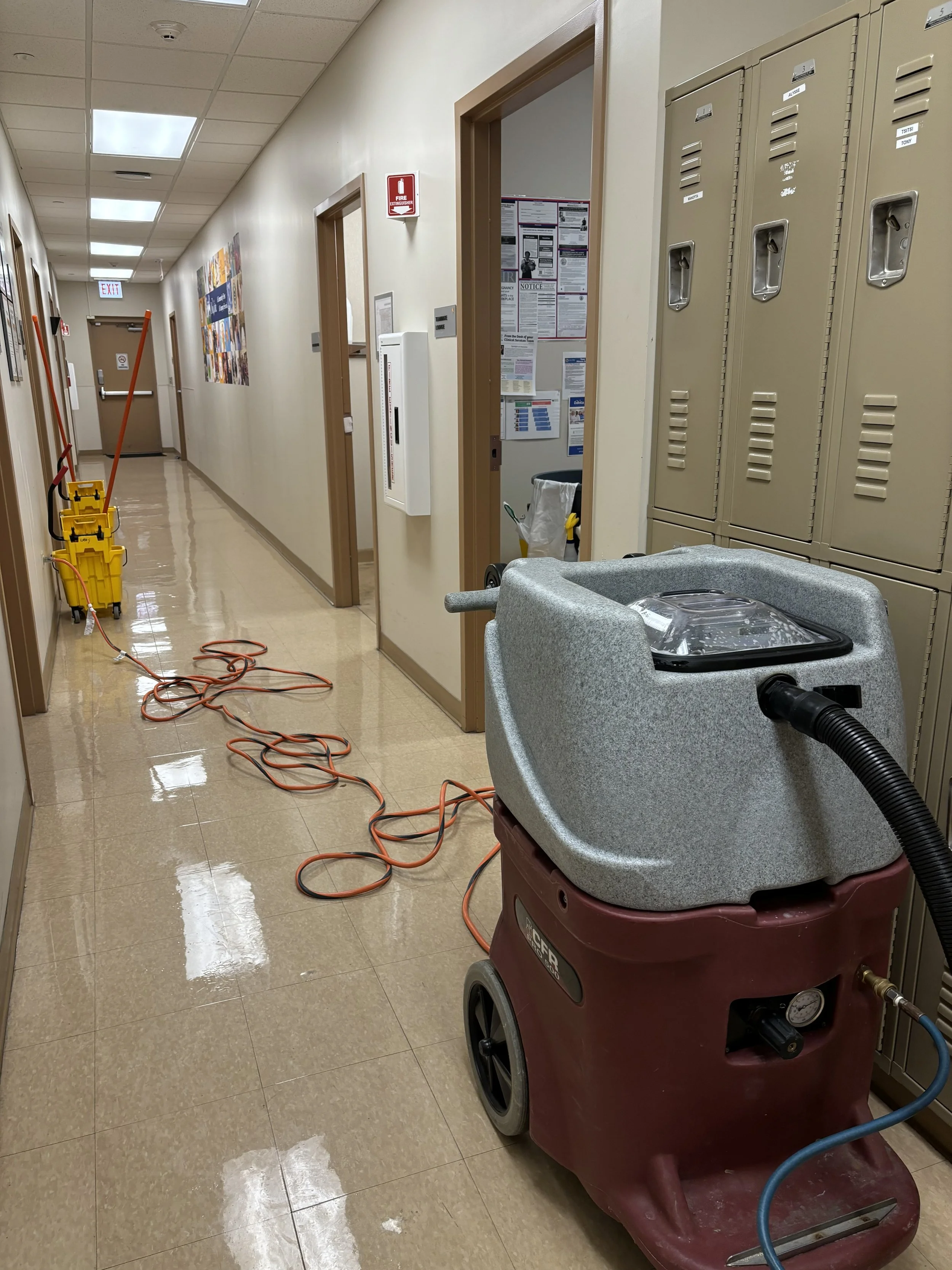 Carpet Cleaning & Floor Wax