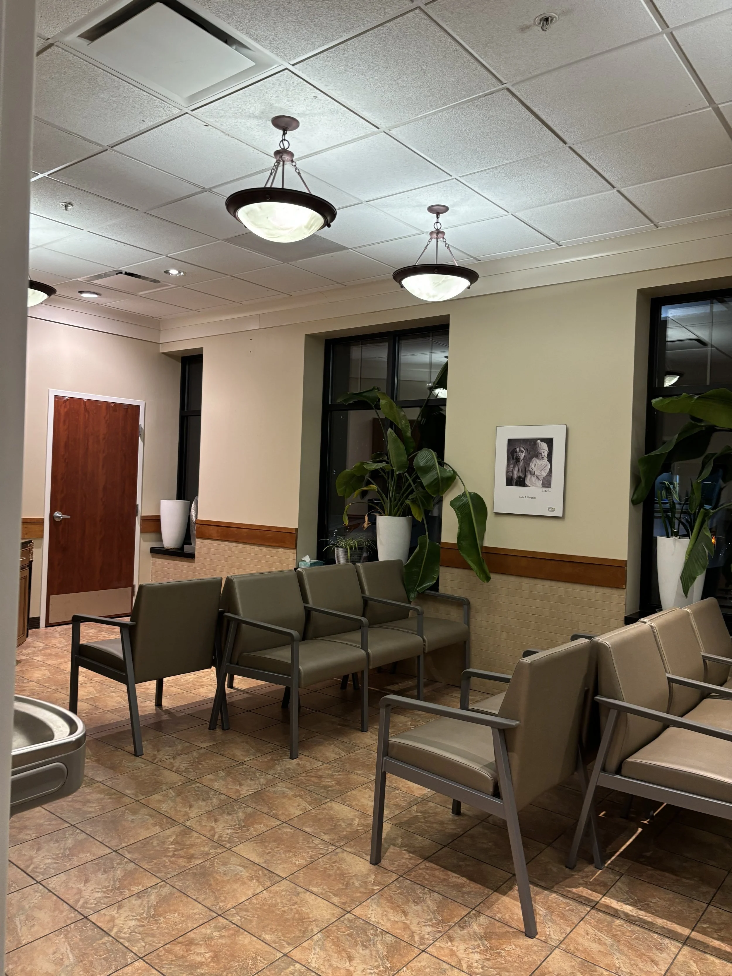 Empty cleaned lobby waiting room with beige chairs, large potted plants, framed photo on the wall, wooden door, and ceiling lights.