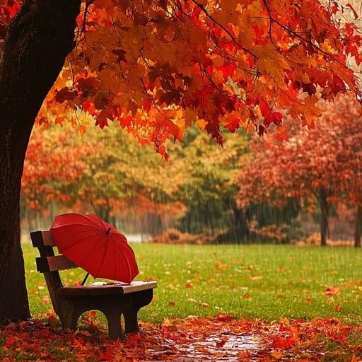 Seasonal Transitions and Neurodivergence