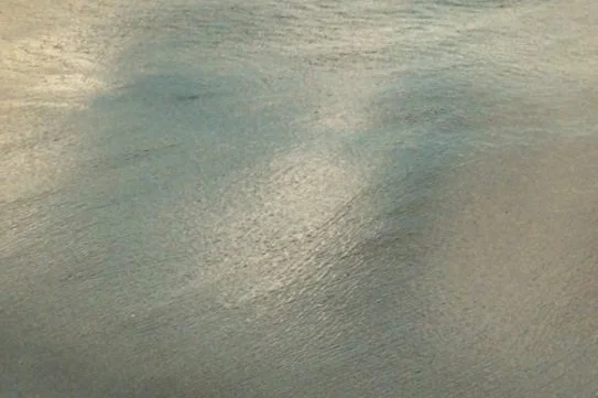 Close-up of a reflective metallic surface, possibly a metal sheet or object.