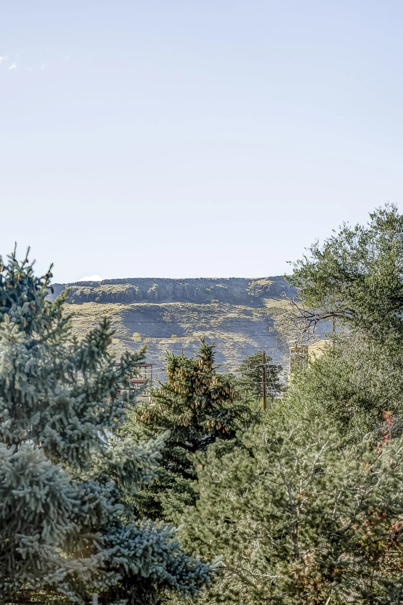 RaeScott_KO_4565 Holman St_web-32.jpg