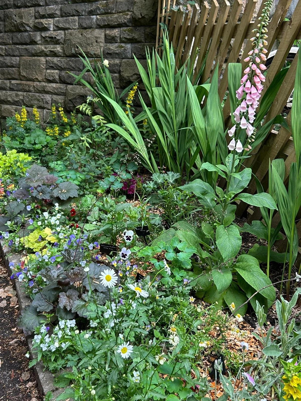 Edale Station Friends' plant bed next to the cafe.