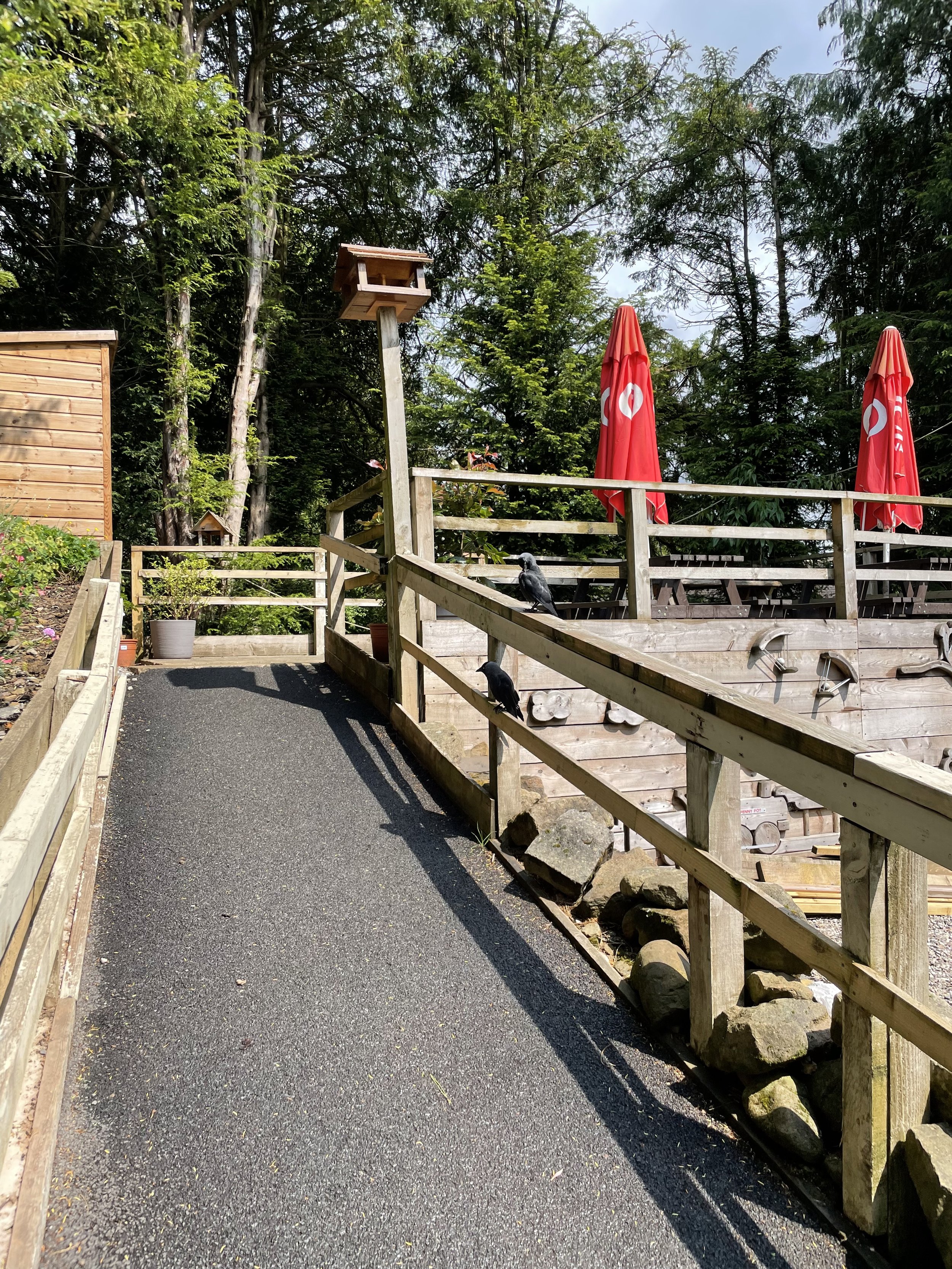A pathway with a black asphalt surface leading to a fenced outdoor area with red umbrellas, wooden seating, a birdhouse on a tall post, and some birds perched on the railing, surrounded by tall trees.