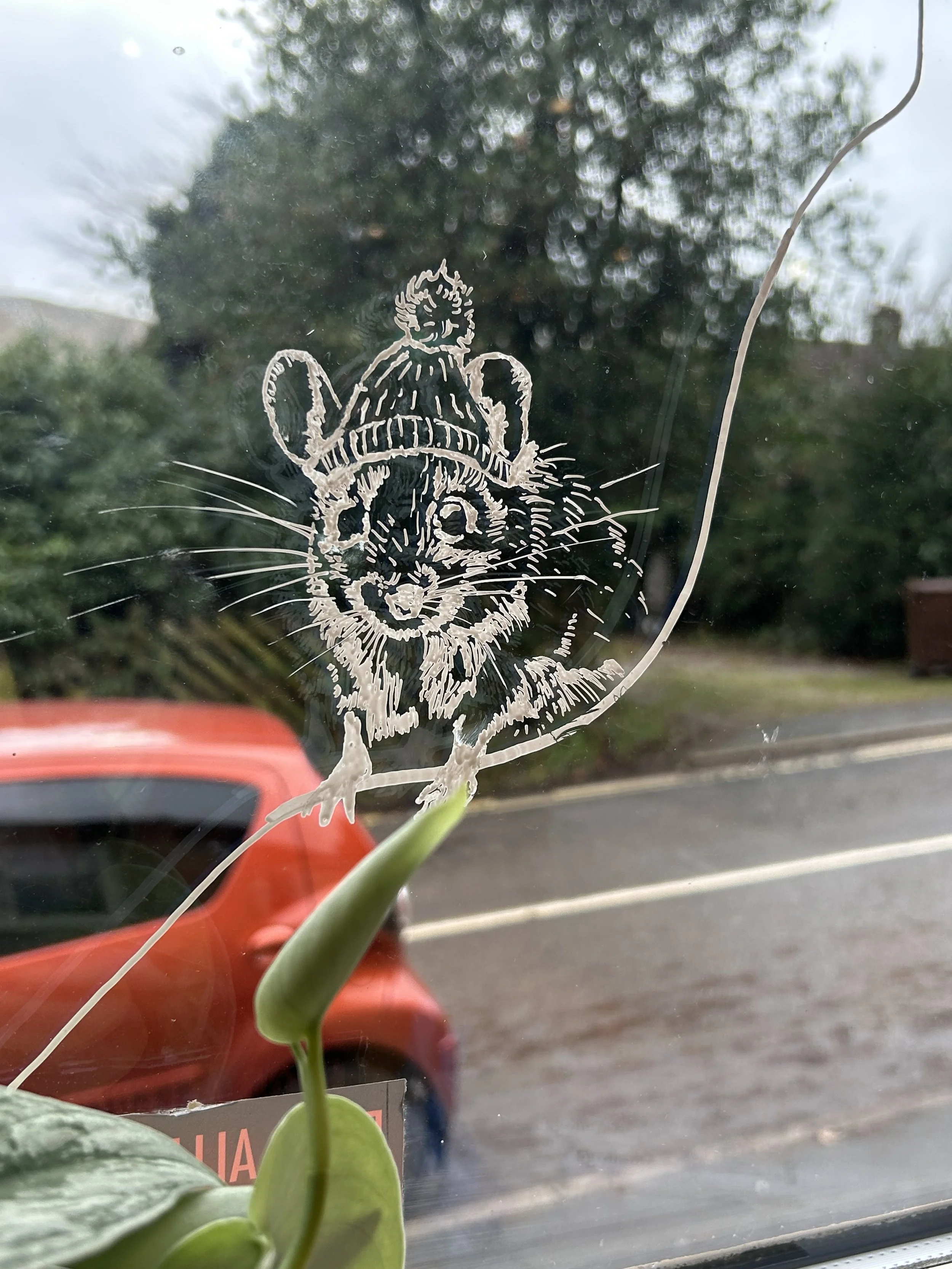 Glass window with a white illustration of a mouse wearing a hat, and a plant with green leaves in the foreground, parked car and trees outside.