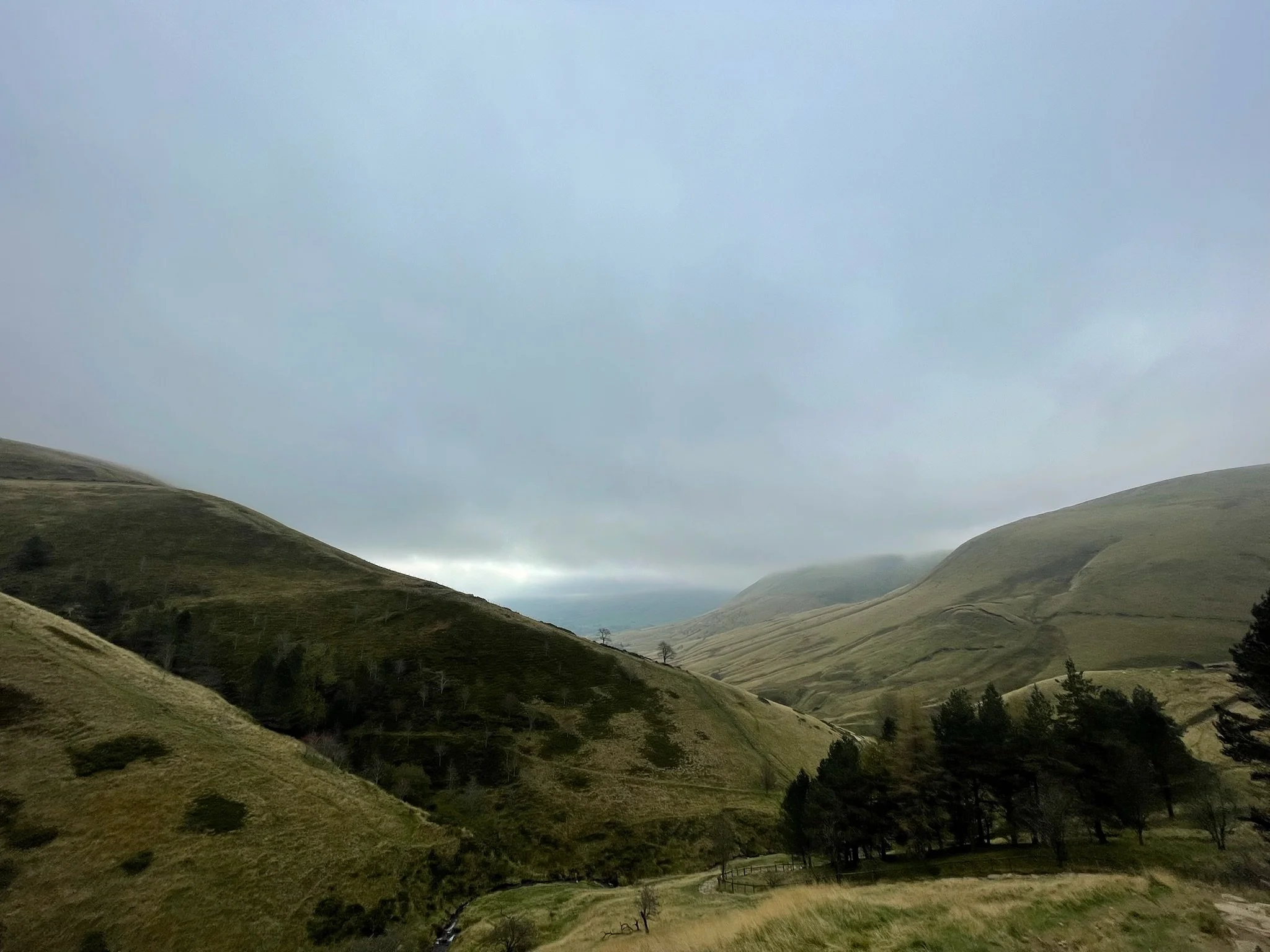 Hilly landscape with green grassy slopes and scattered trees under a cloudy sky.